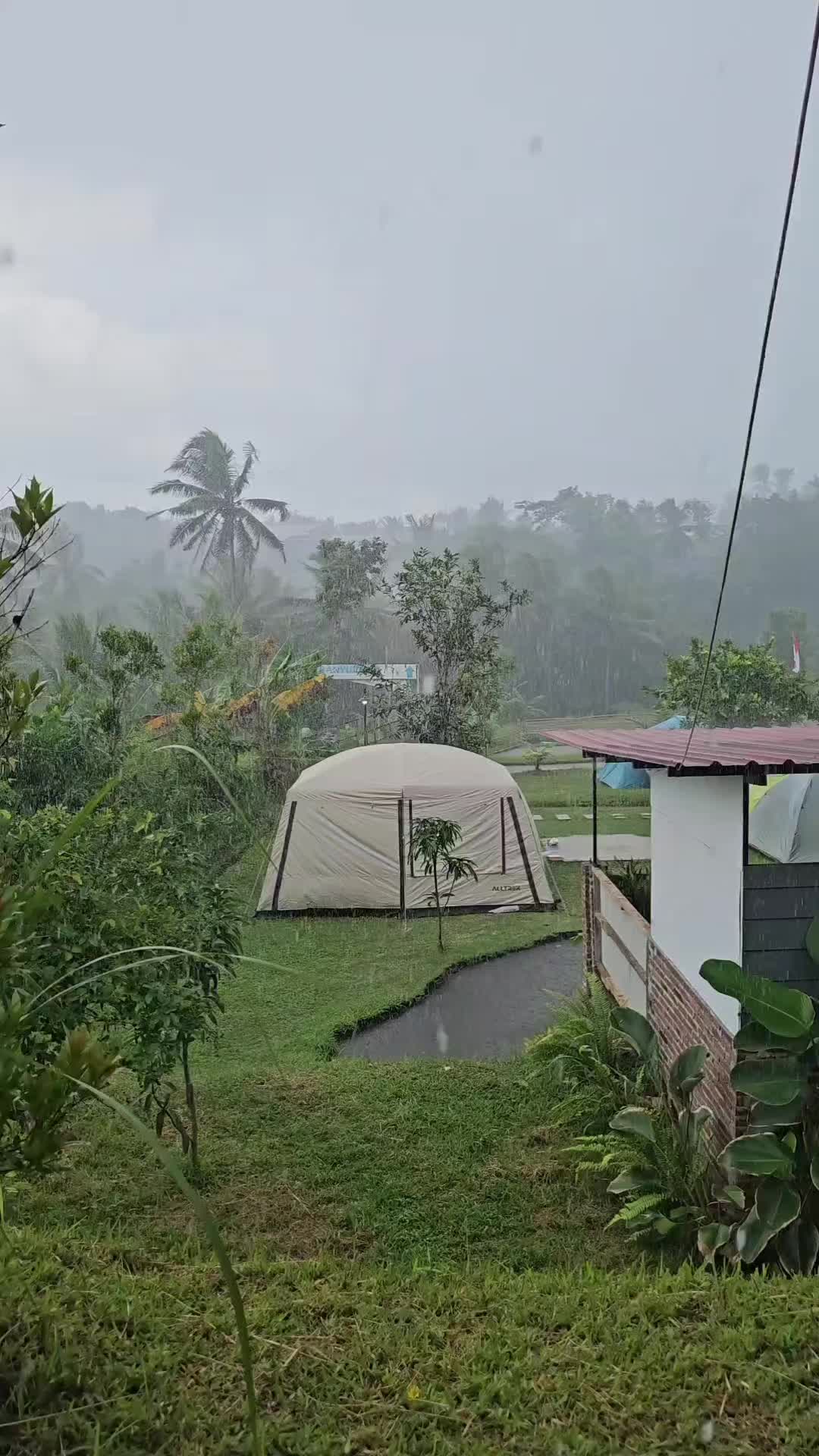 @setiyoprajoko