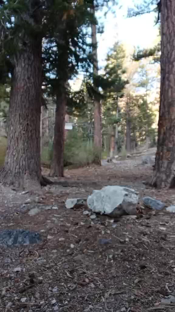 @KAR