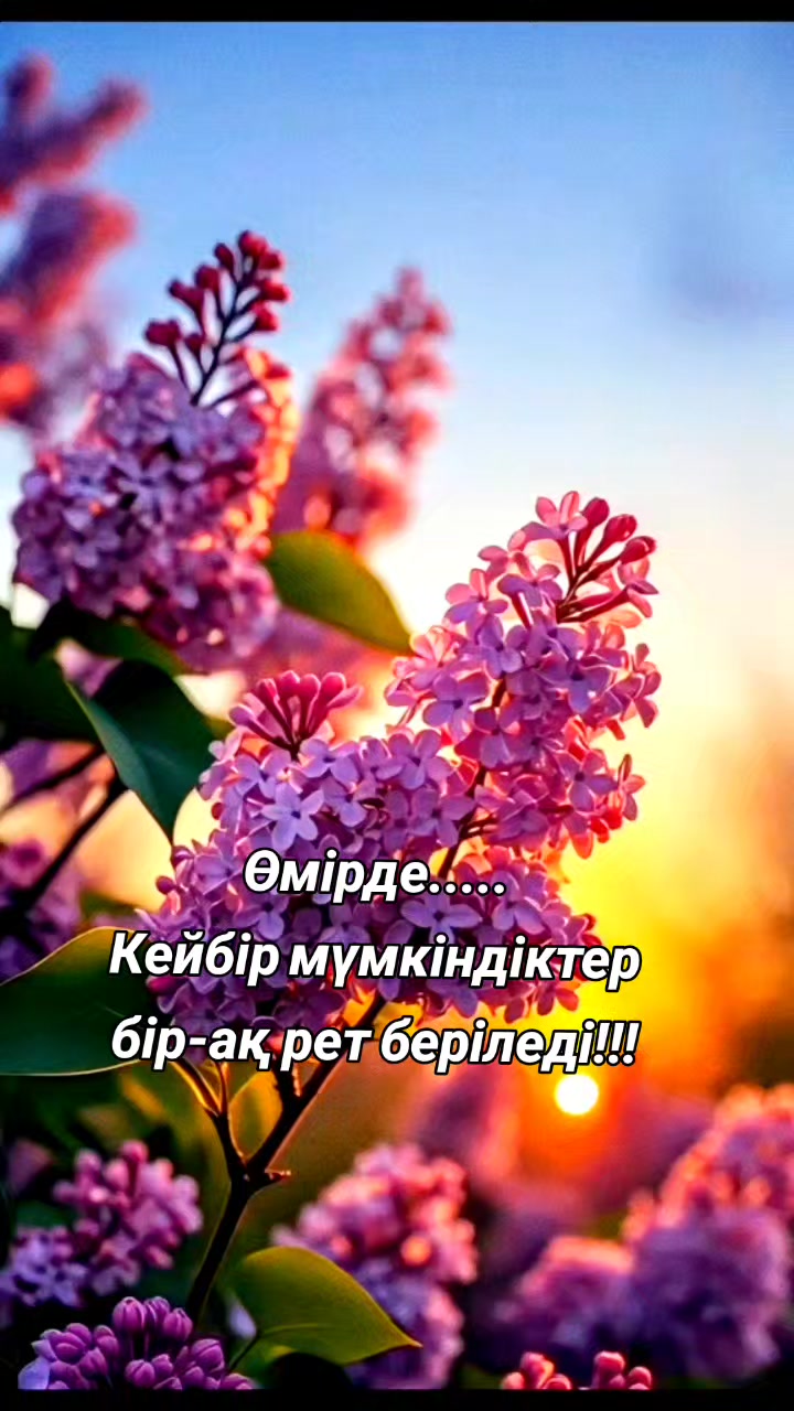 @Аллаға_шүкір 🇰🇿🇰🇿🇰🇿