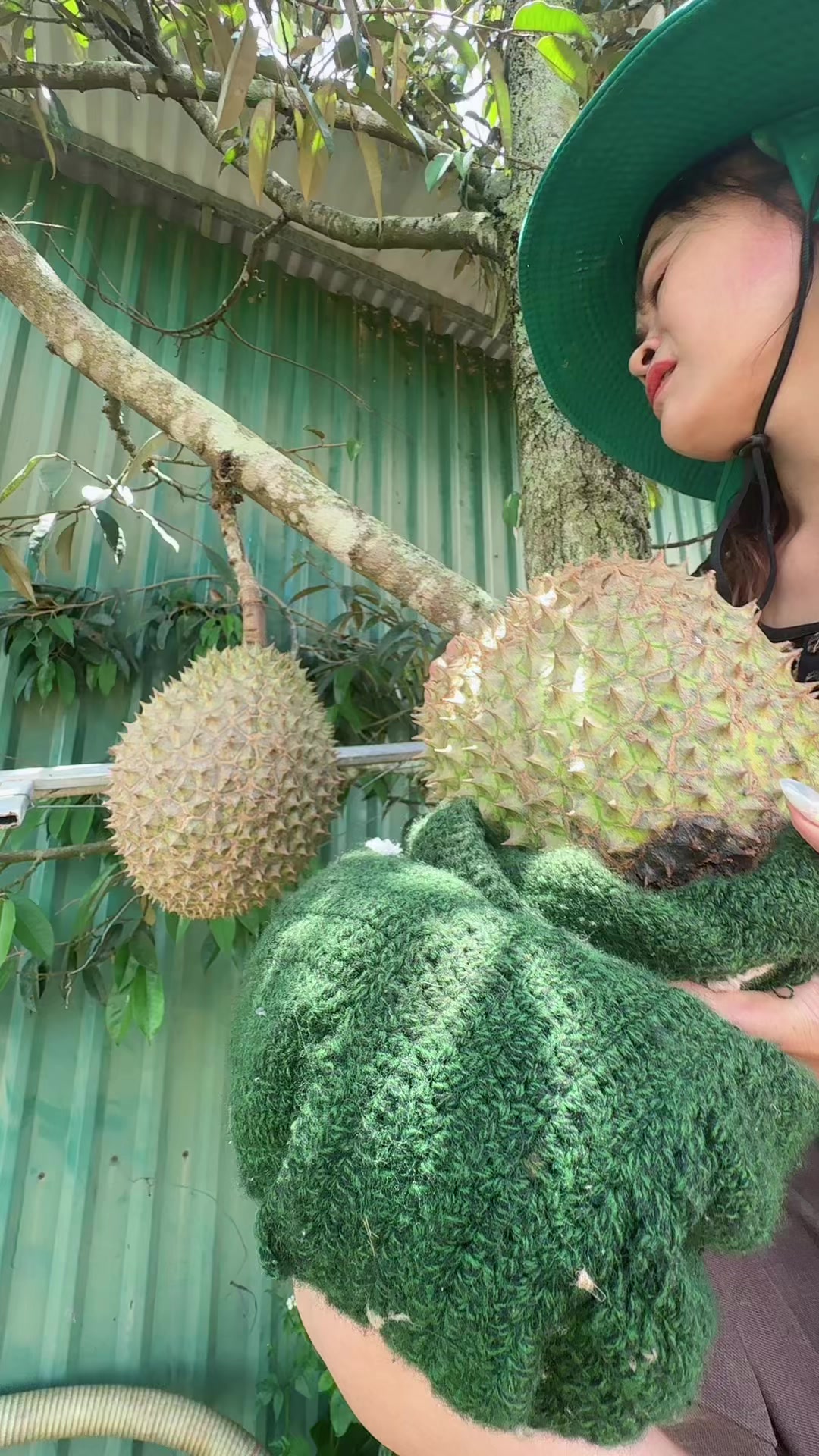 @💗 Hương Chí Phèo 💗