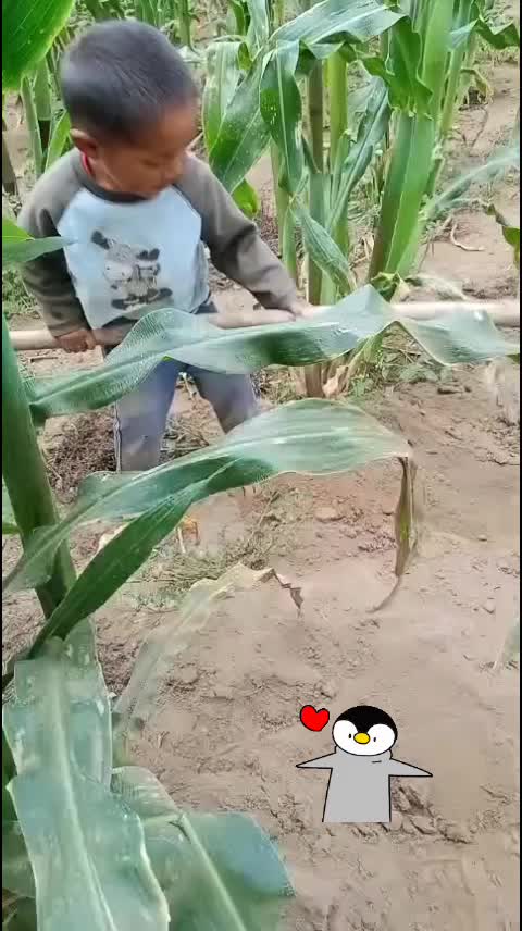 @Martín1982