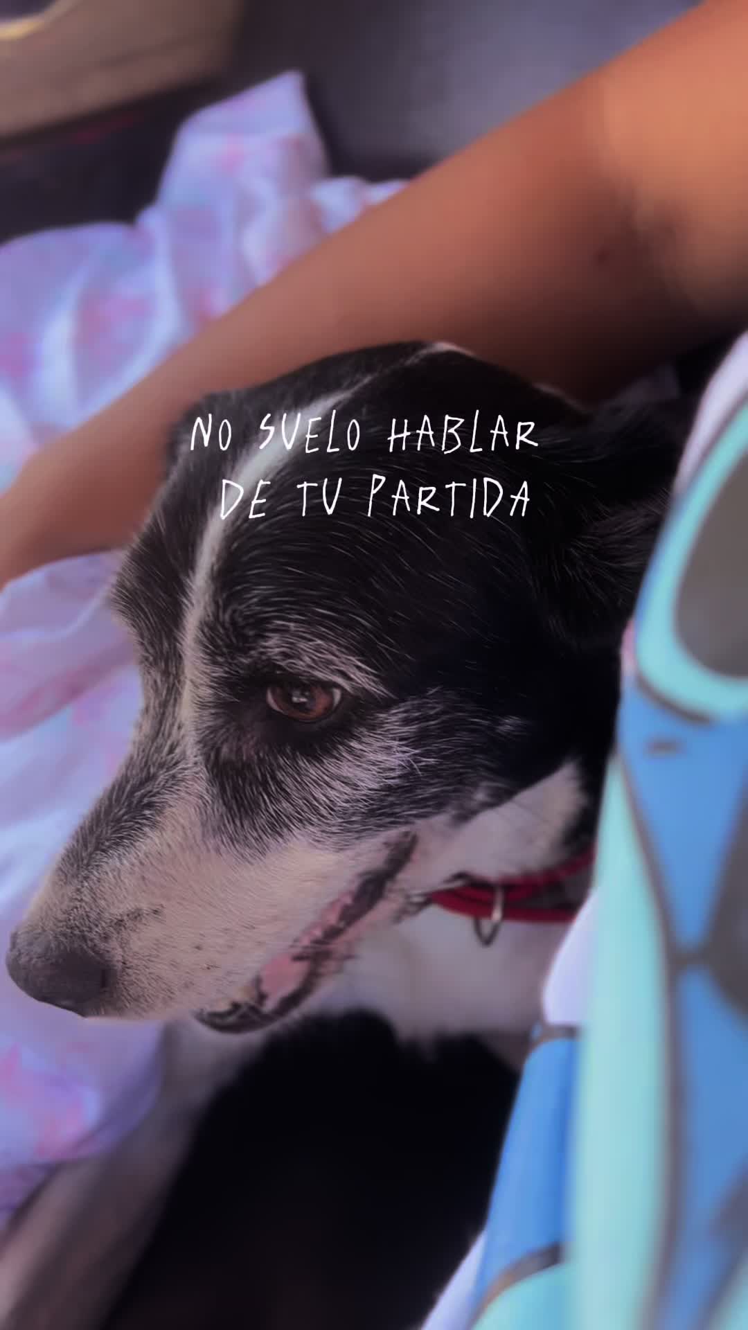 @🥬