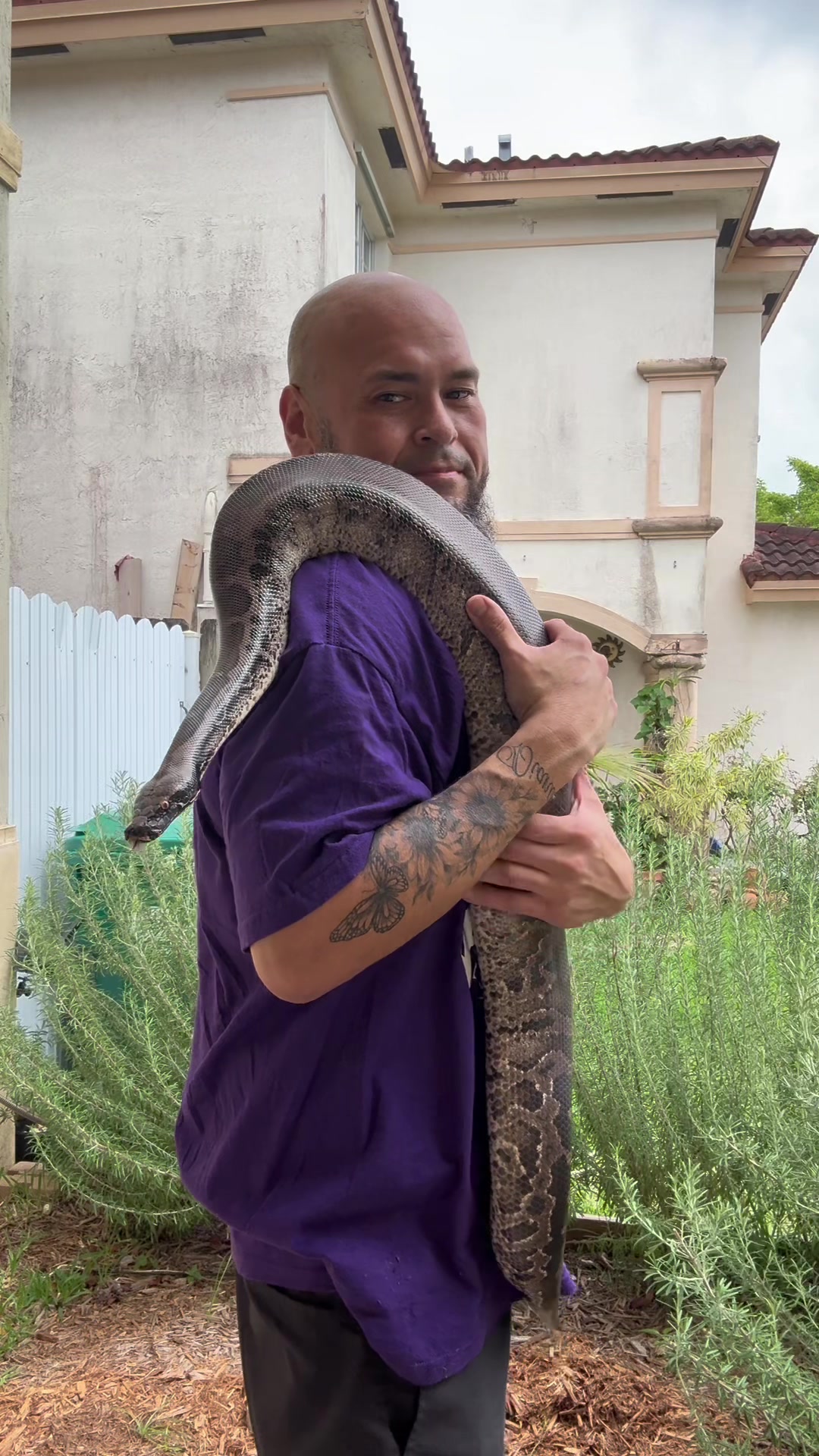 @BosaReptilez