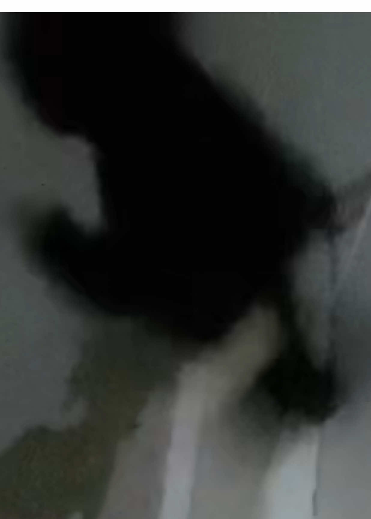 @𖤐&deg;.⋆ ᥫ᭡ ᴏʟɪv𝓲𝓪ᥫ᭡ 𖤐&deg;.⋆