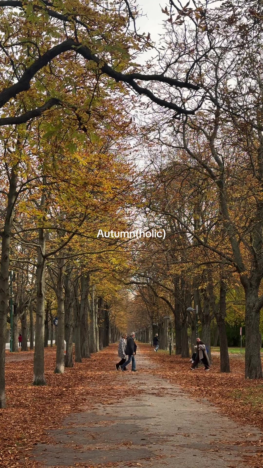 @Aipesha