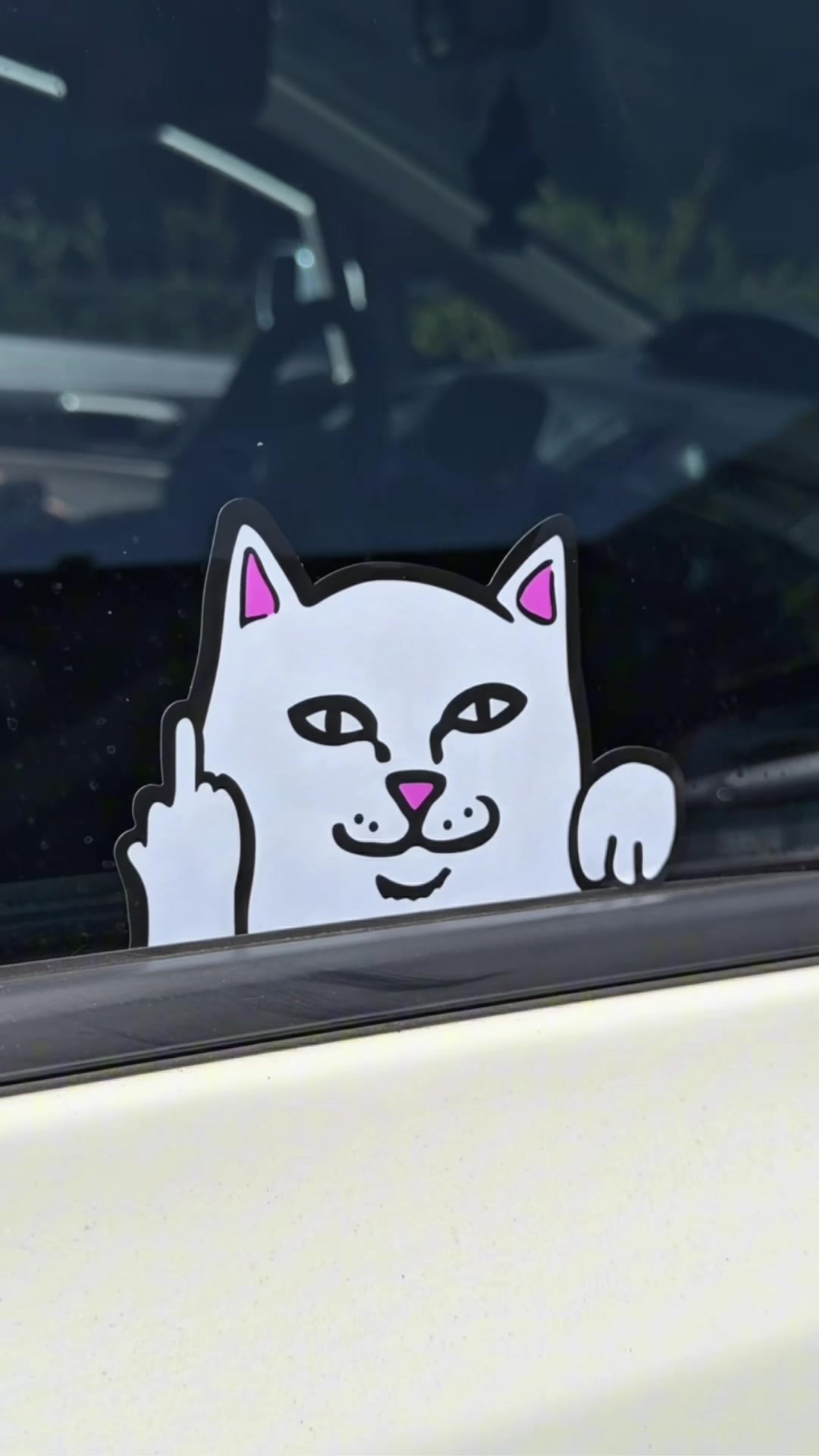 @RIPNDIP