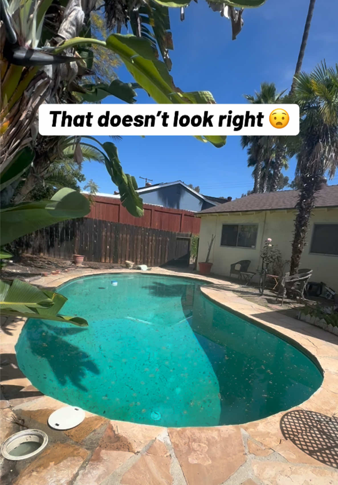 @thepoolleakguy
