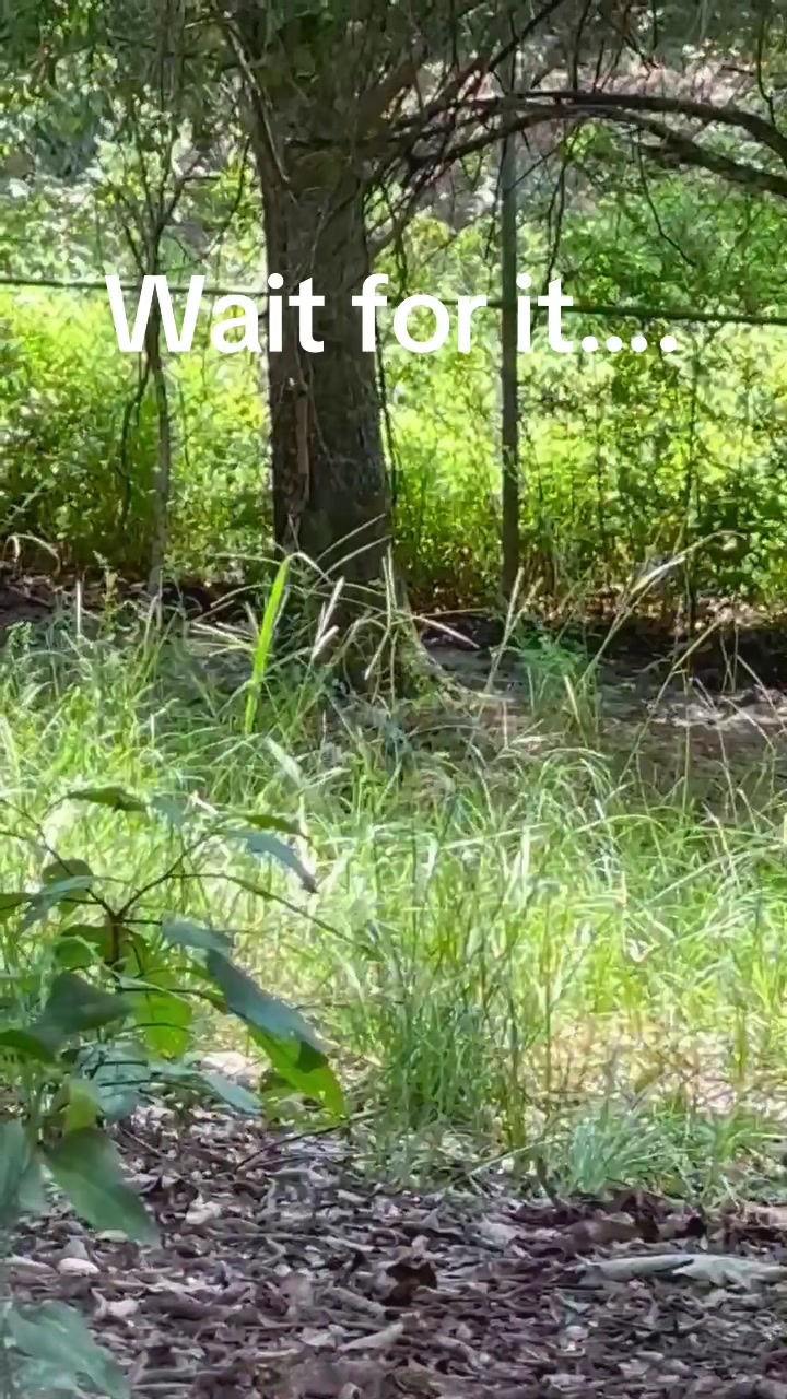 @Cedarhill Animal Sanctuary