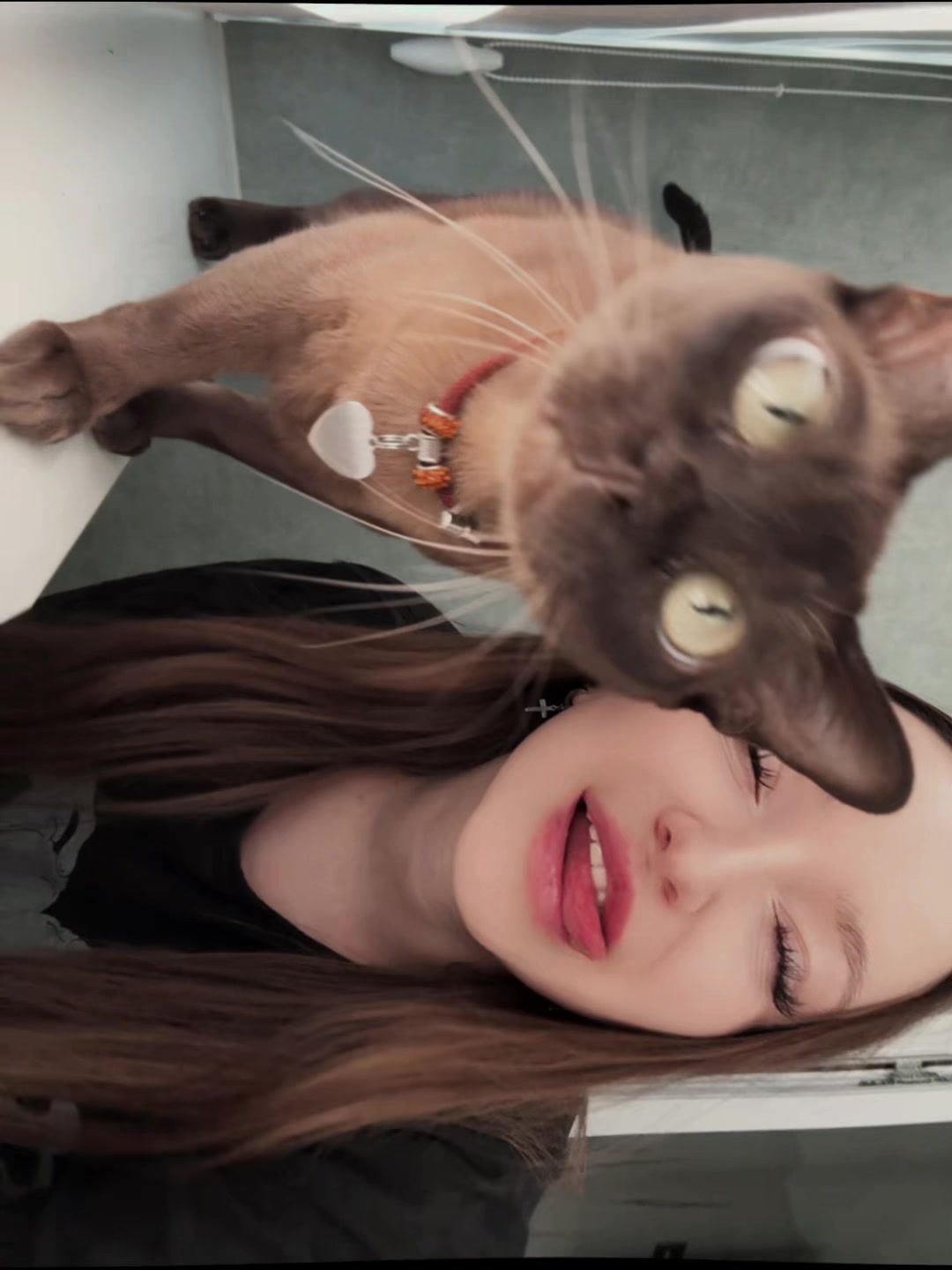 @Moon_die