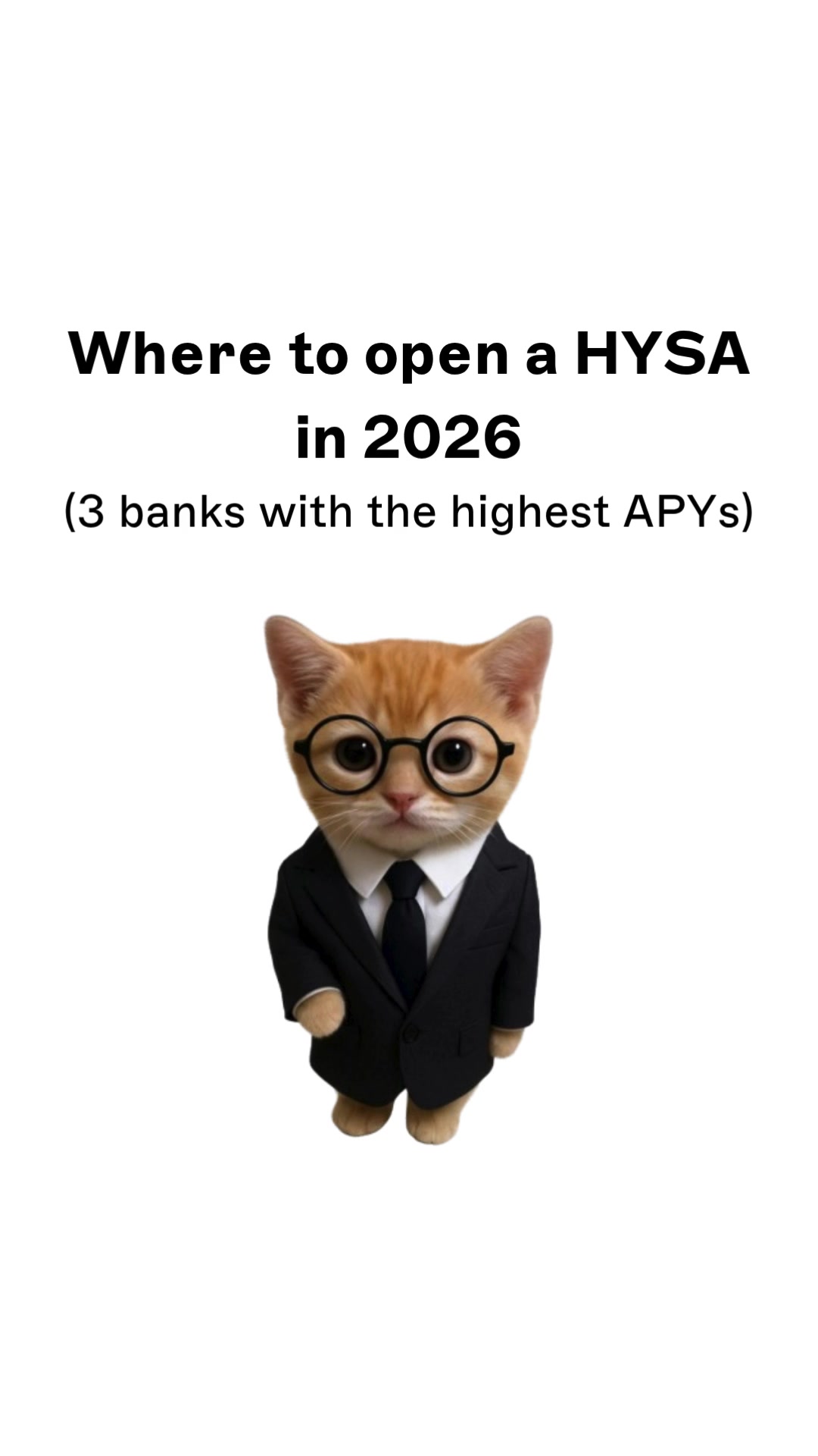 @wallstreetkitty