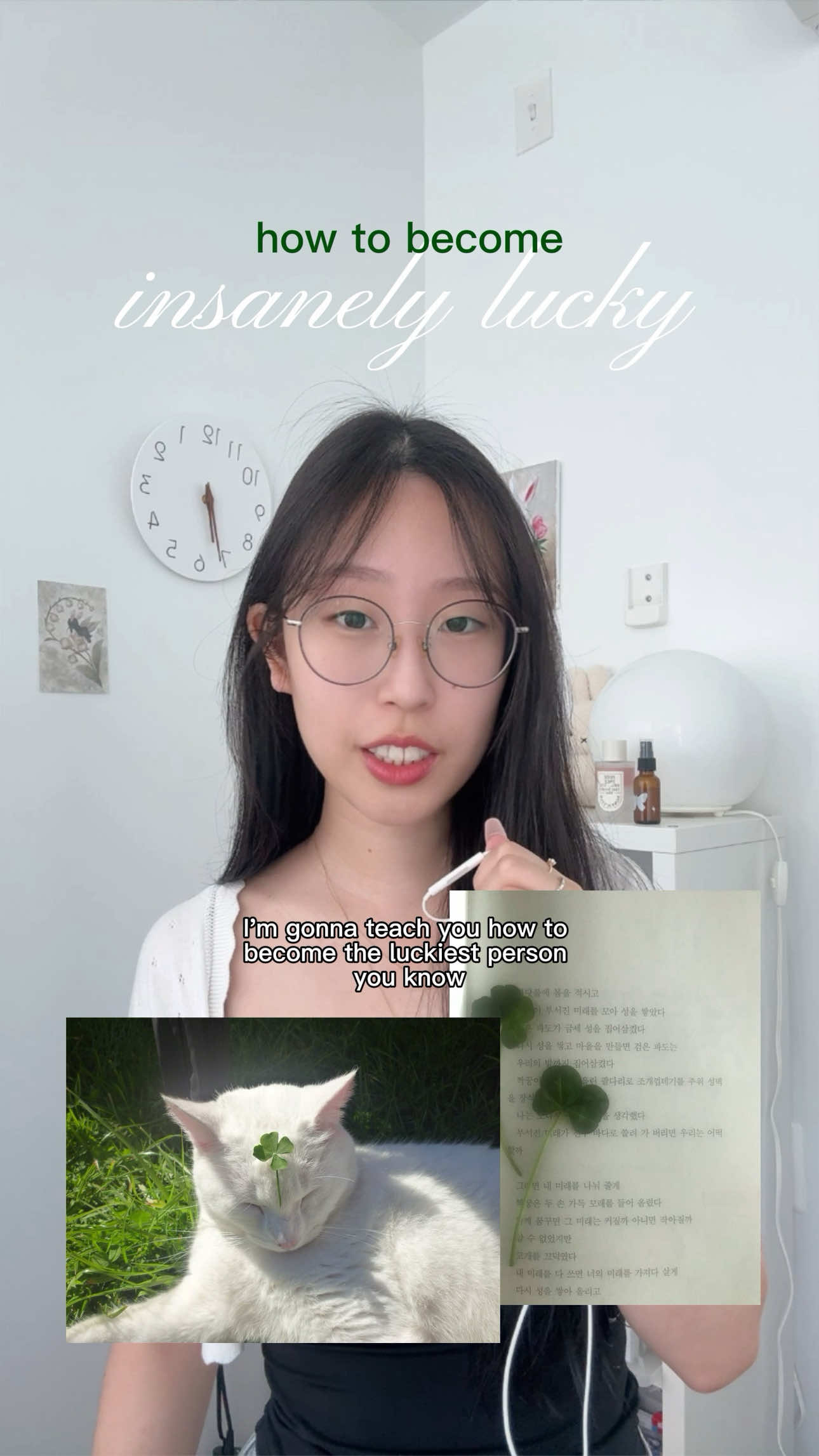 @whimsywabbits