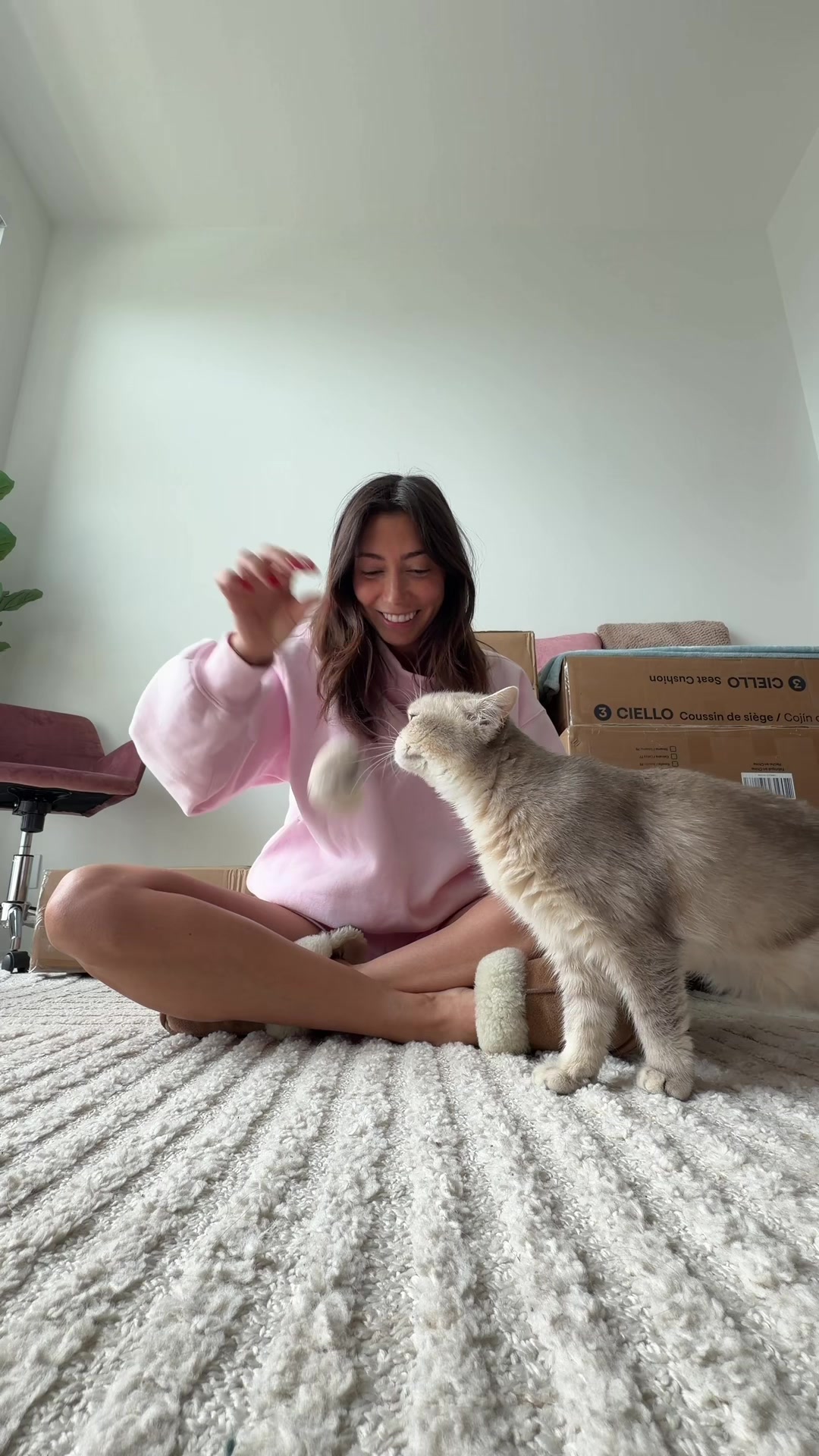 @Tara Michelle
