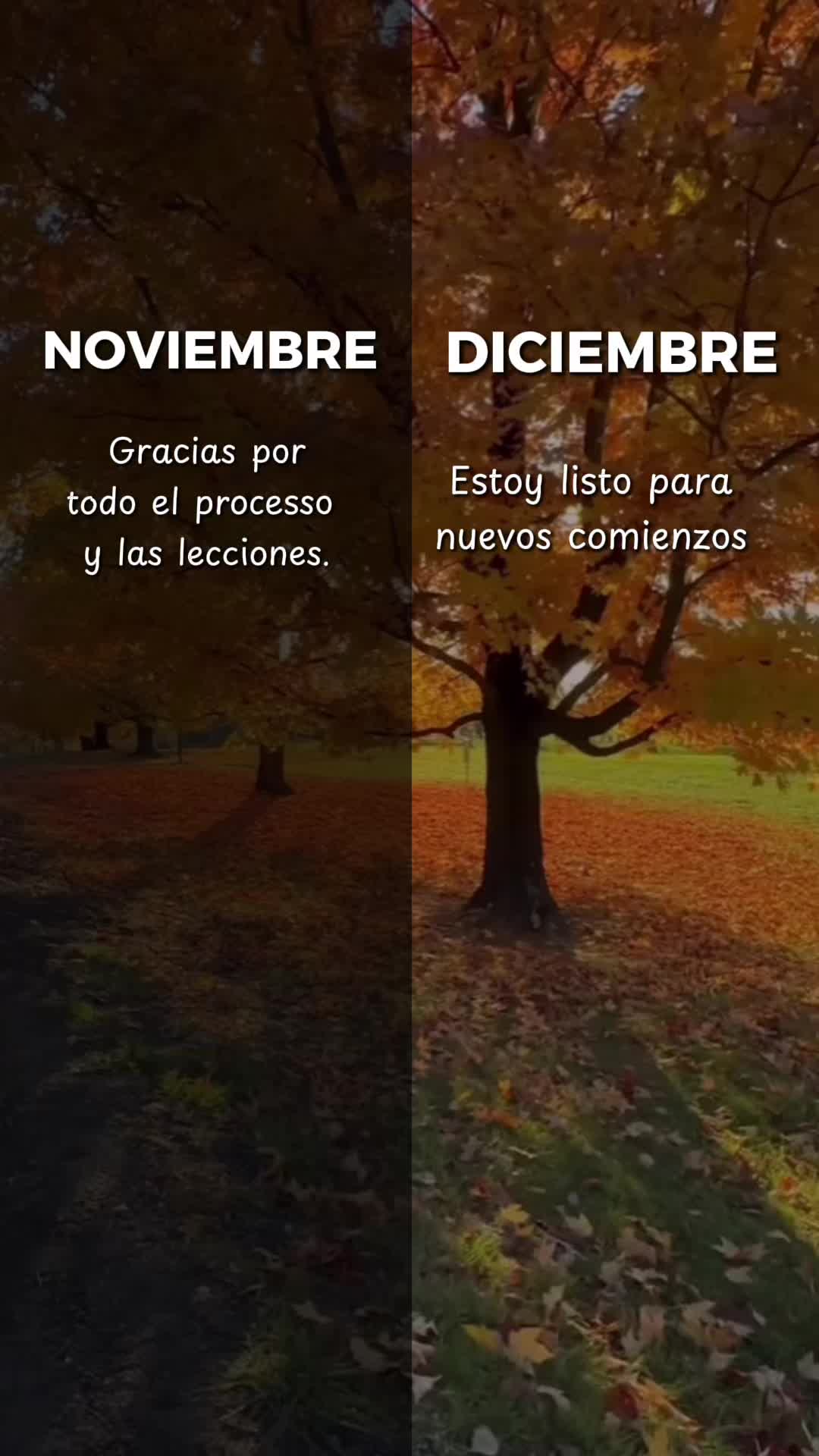 @Gilverto Lugo