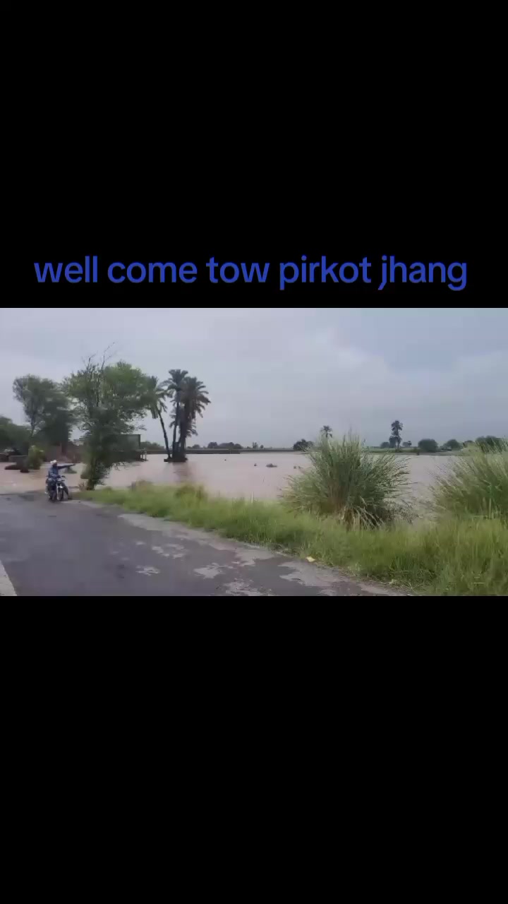 @hammad sial