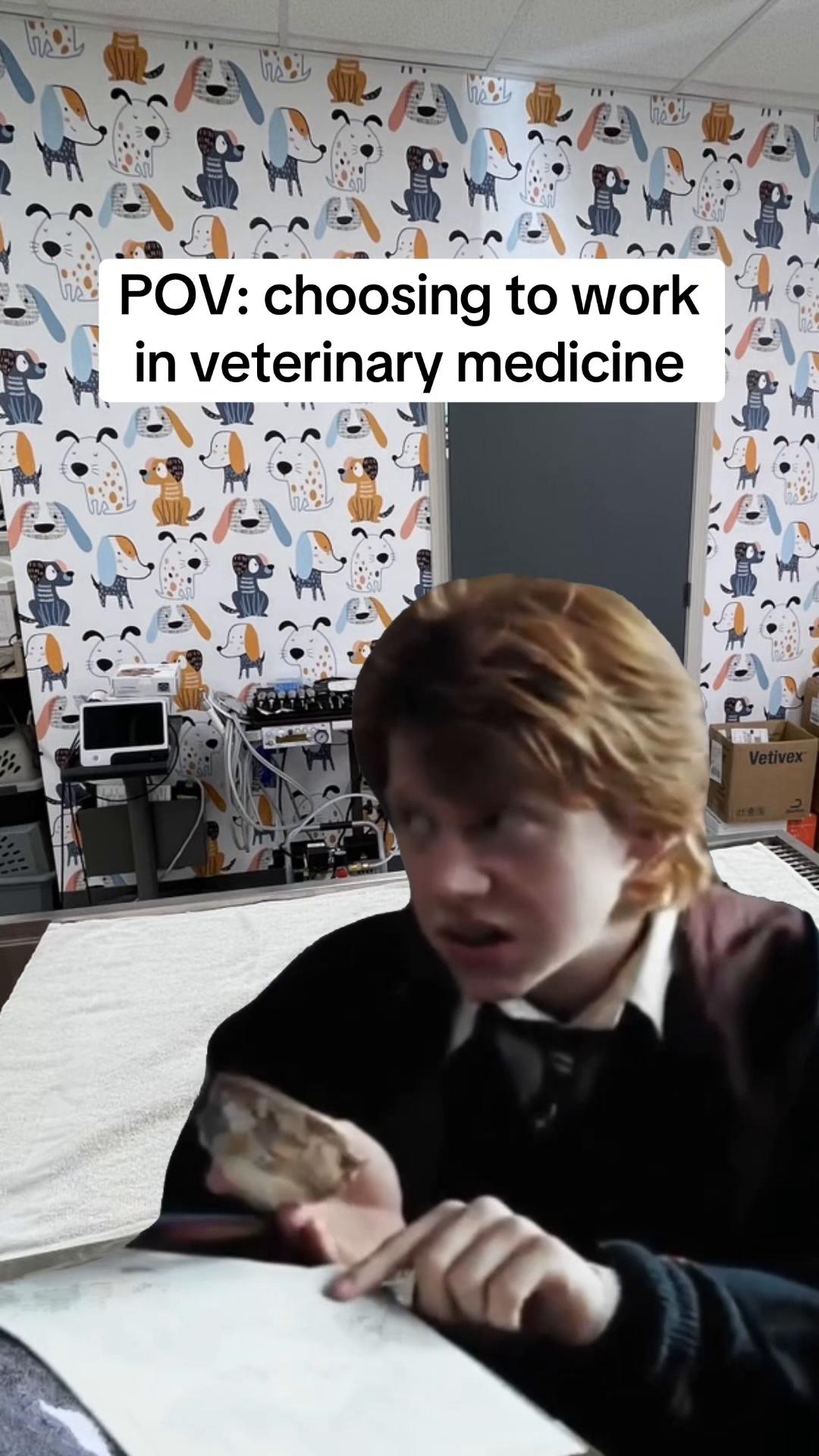 @Snodgrass Vet