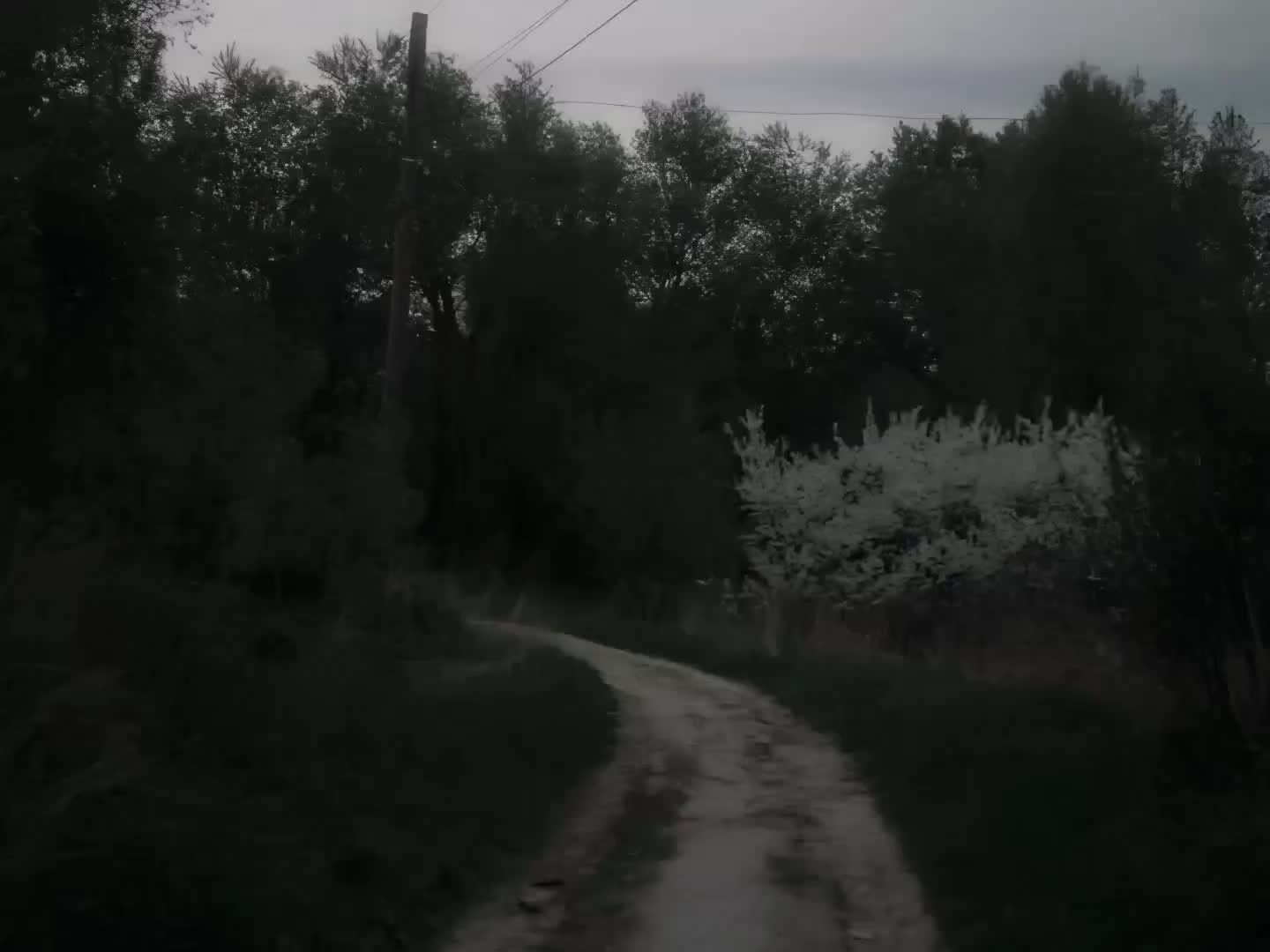 @seraixq