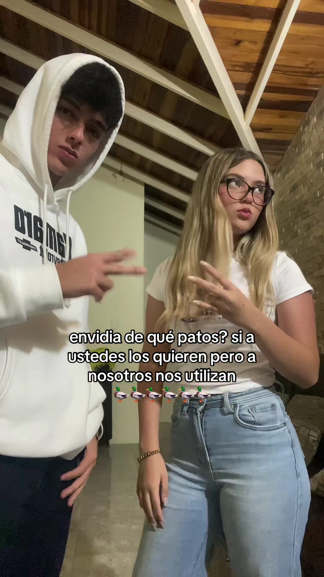 @ludmi