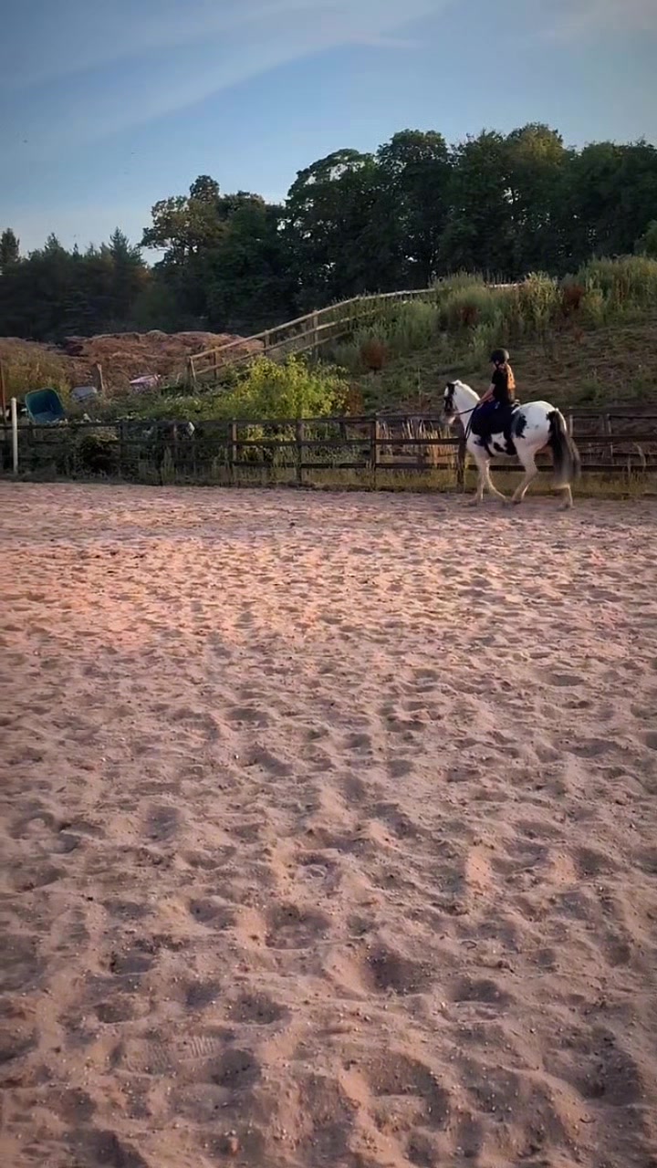 @LottiesHorseAdventures🦄🐴