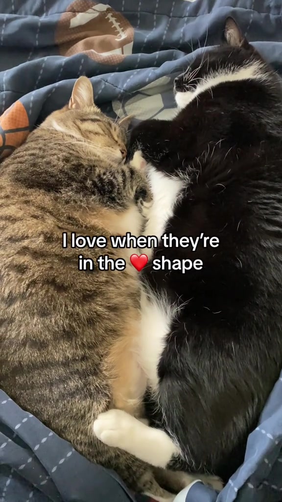 @Jennifer
