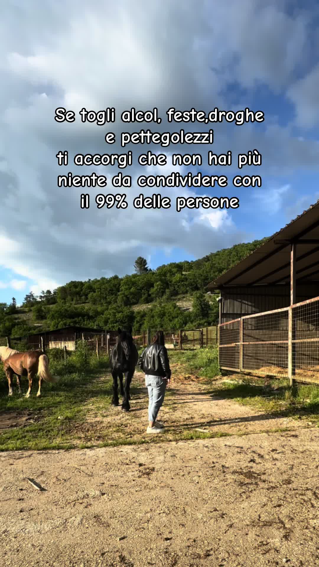@black_the_friesian