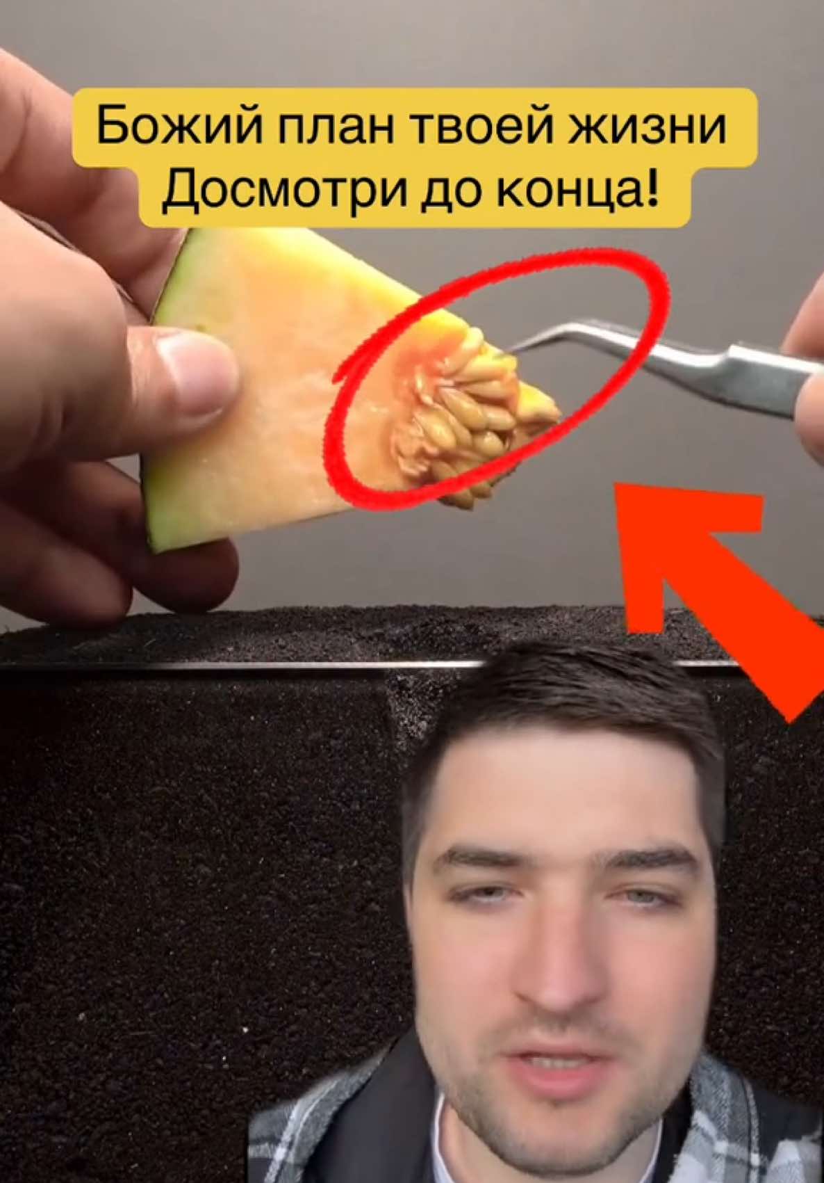 @Dovod Brat