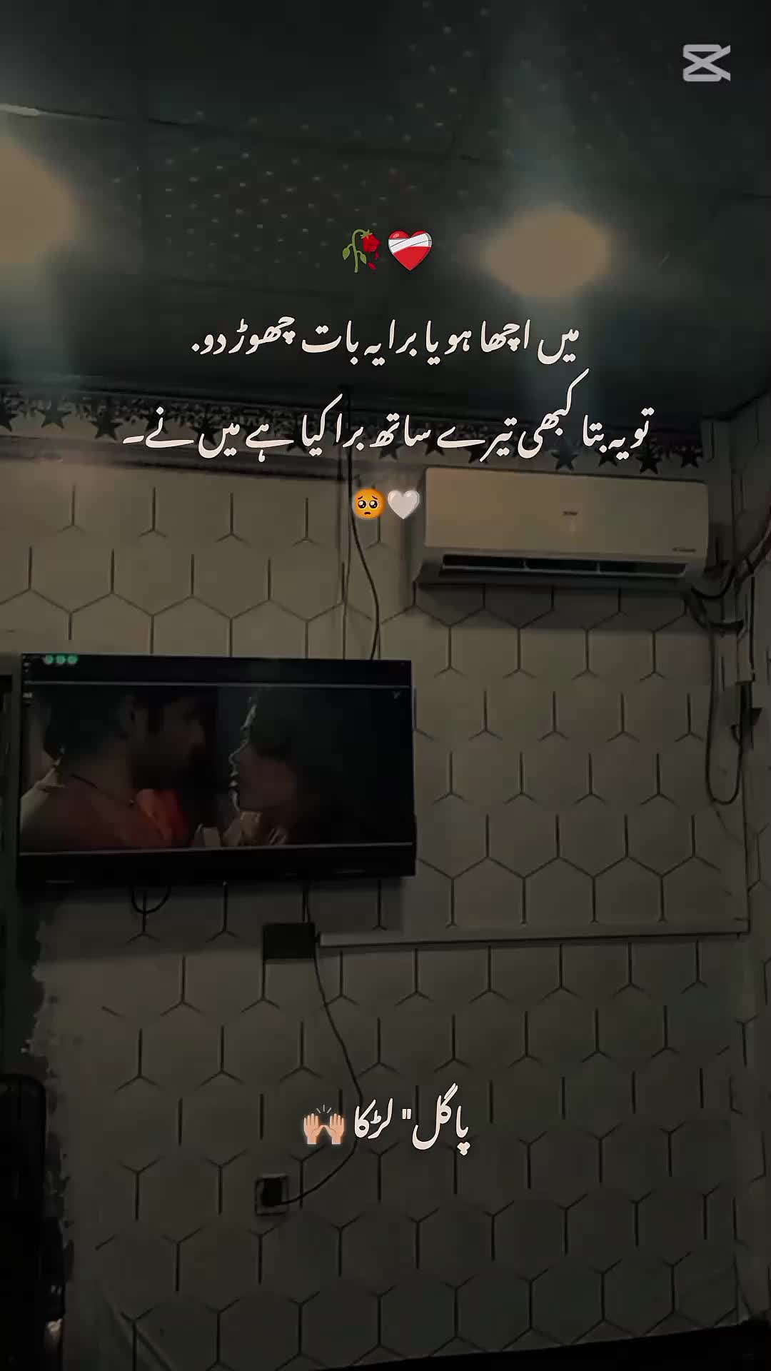 @پاگل لڑکا 🤍🥀