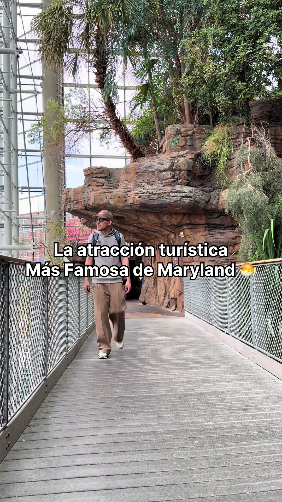 @Camilo&ensp;N&uacute;&ntilde;ez