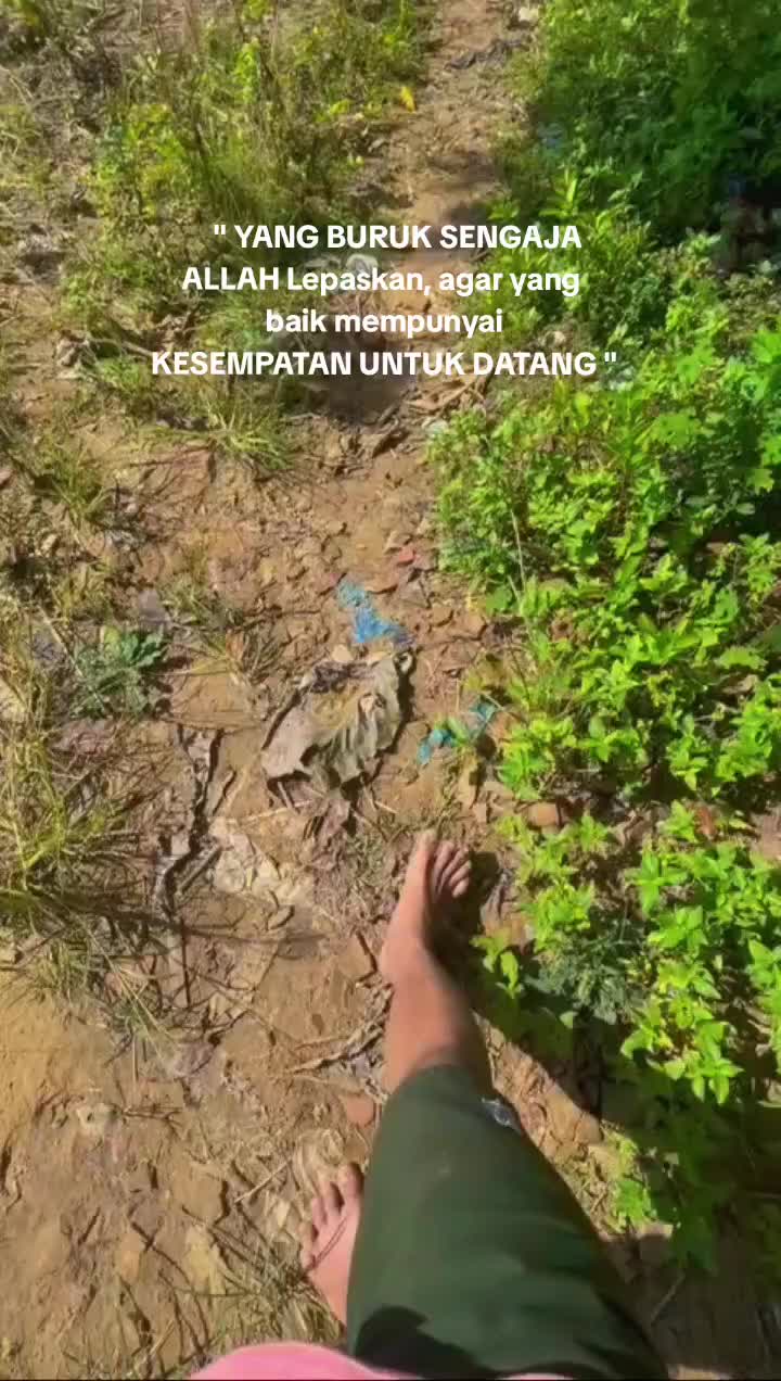 @احمدصلح الدين