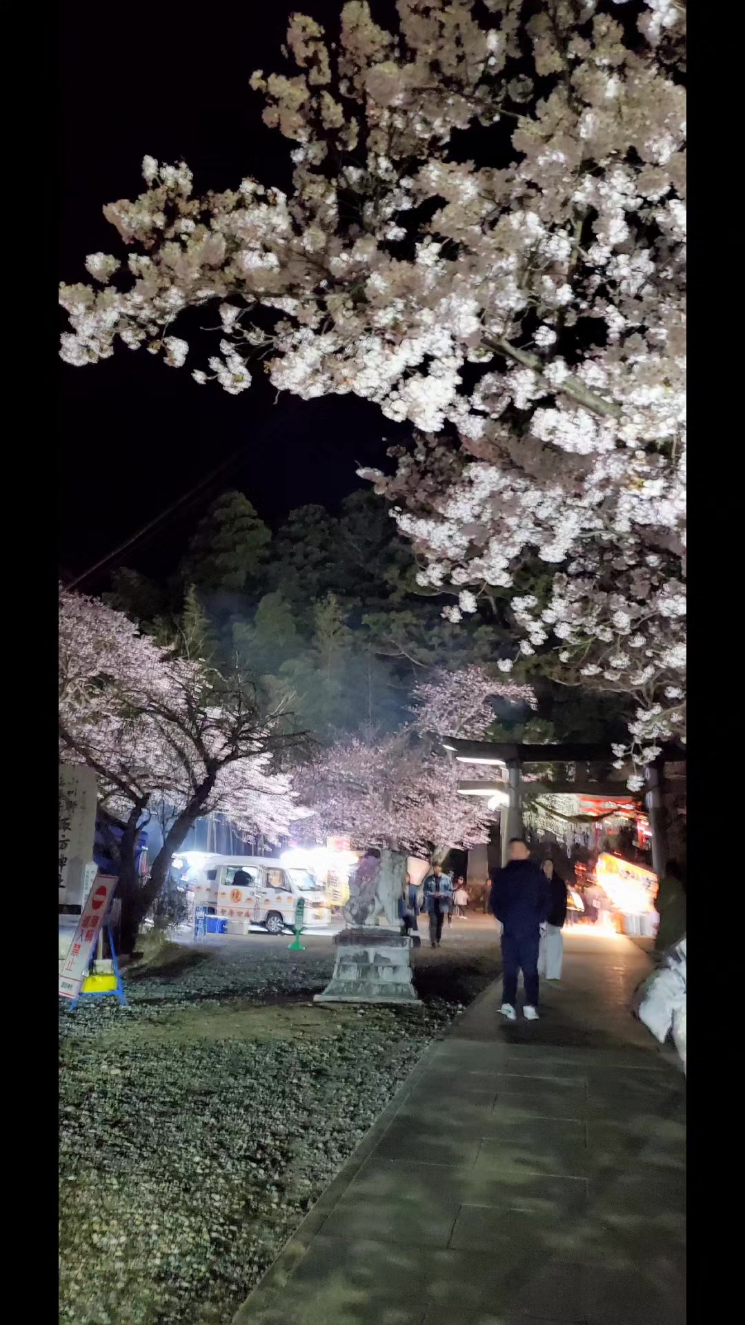 @井坂みどり