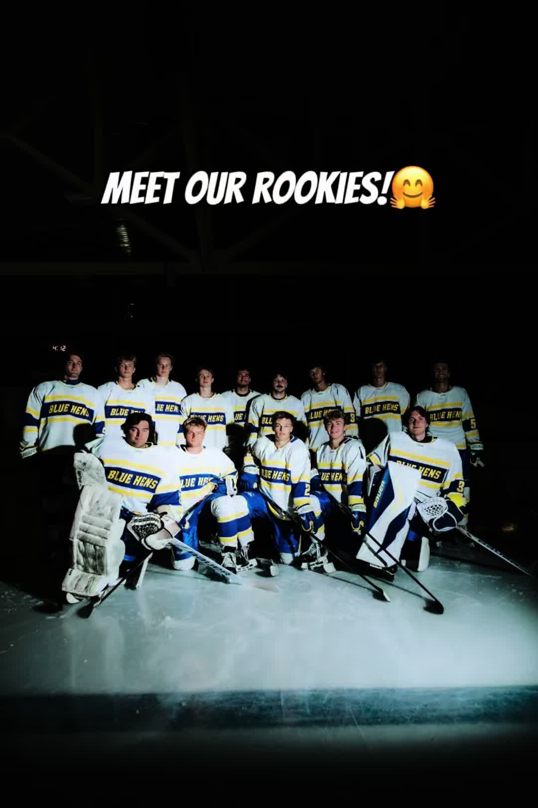 @delaware_mih