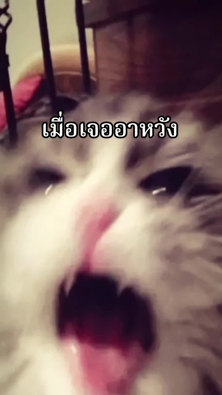 @ຫ້ະອີ່ຫຍັງນະ