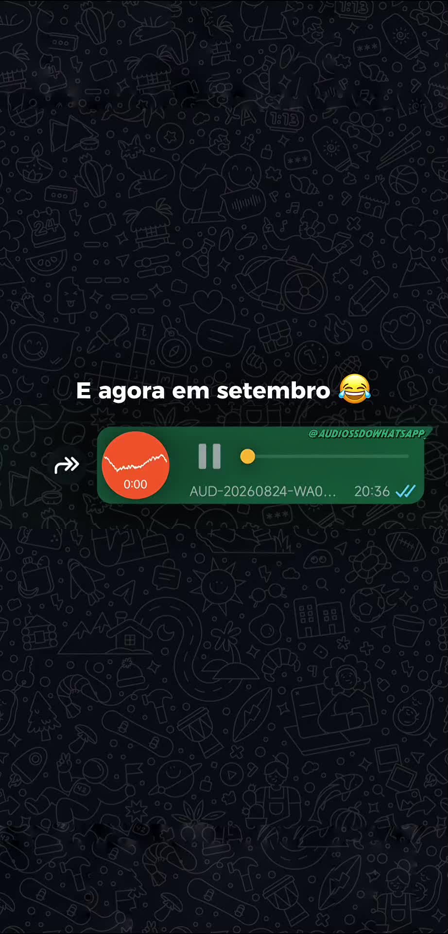 @&Aacute;UDIOS DO WHATSAPP