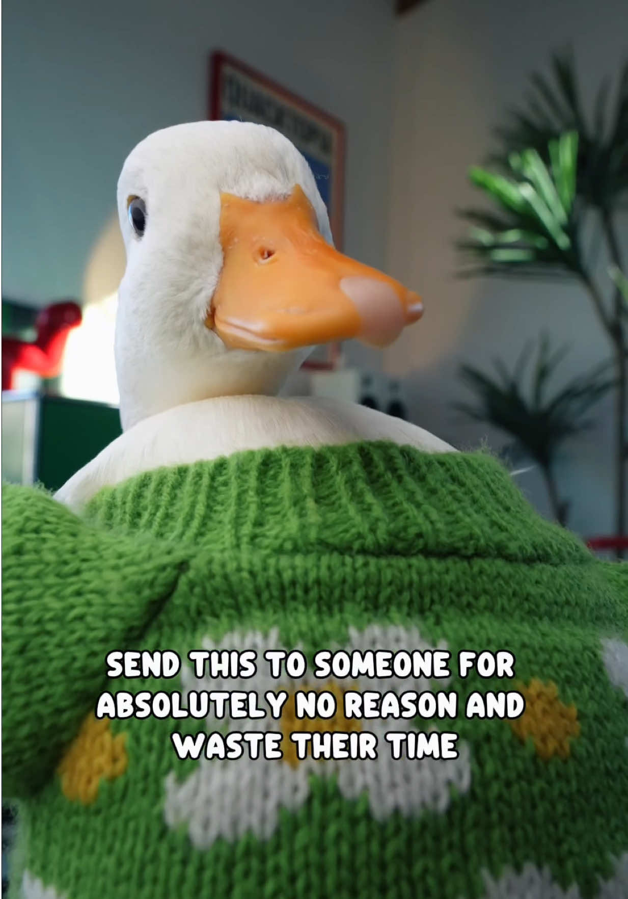 @ducks_in_space🪿🪿💦