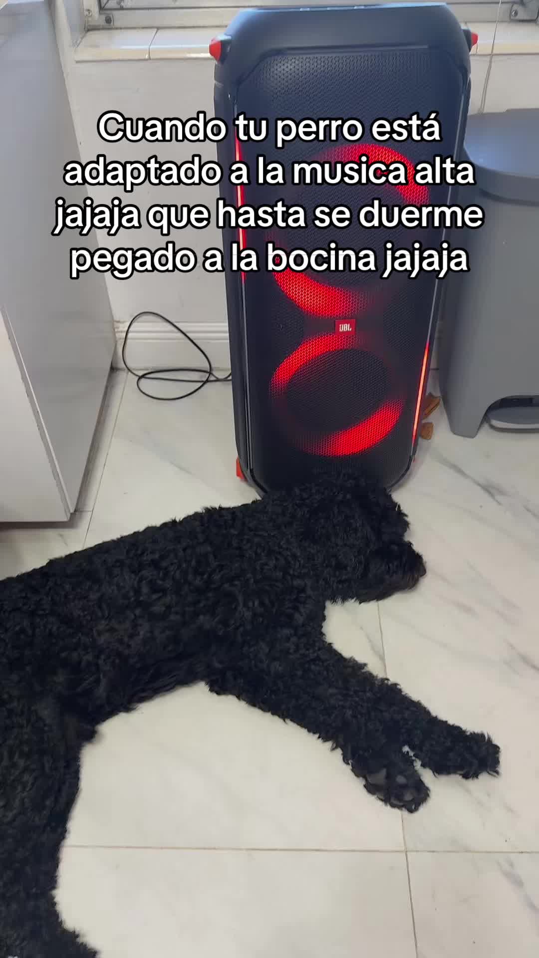 @Arakenia y Adrian