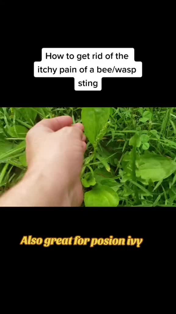 @AppalachianMntCrone