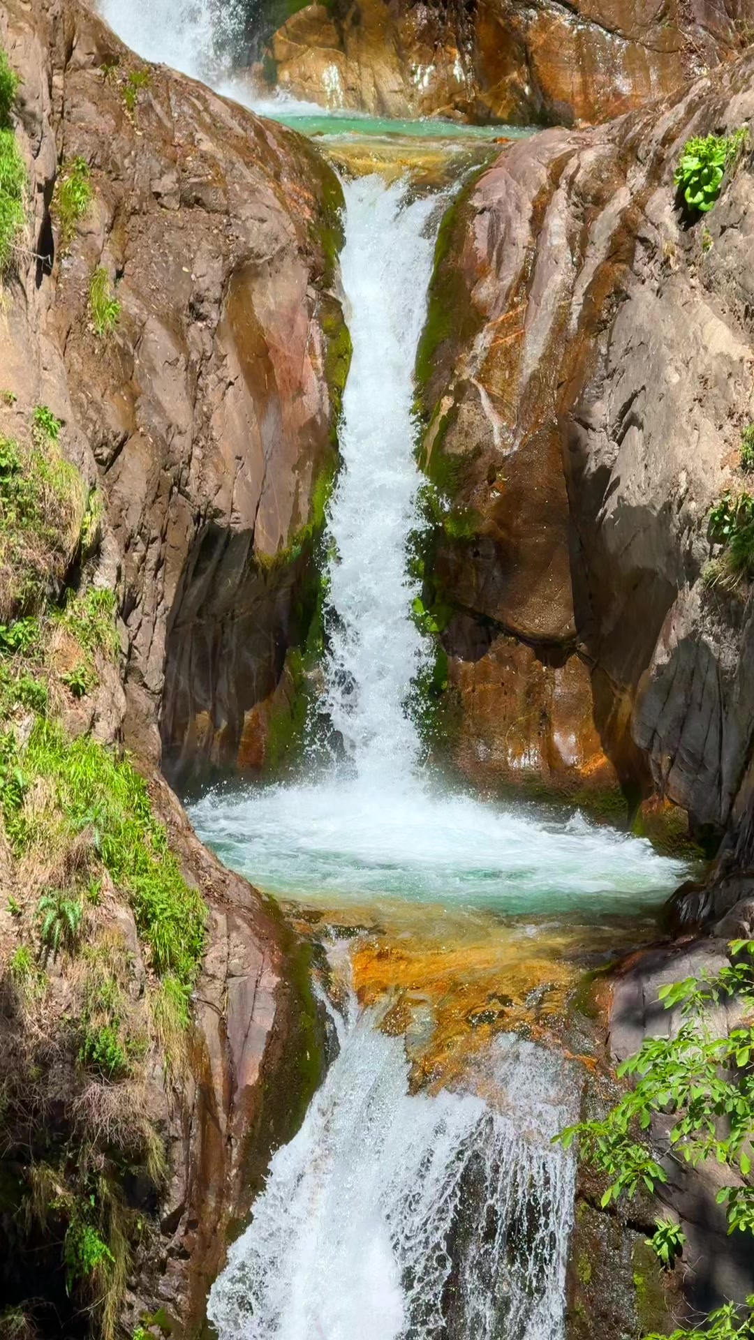 @हुम्ली&ensp;कान्छो