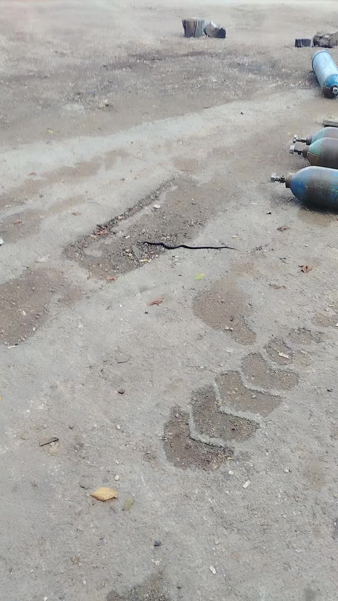 @Рузиль