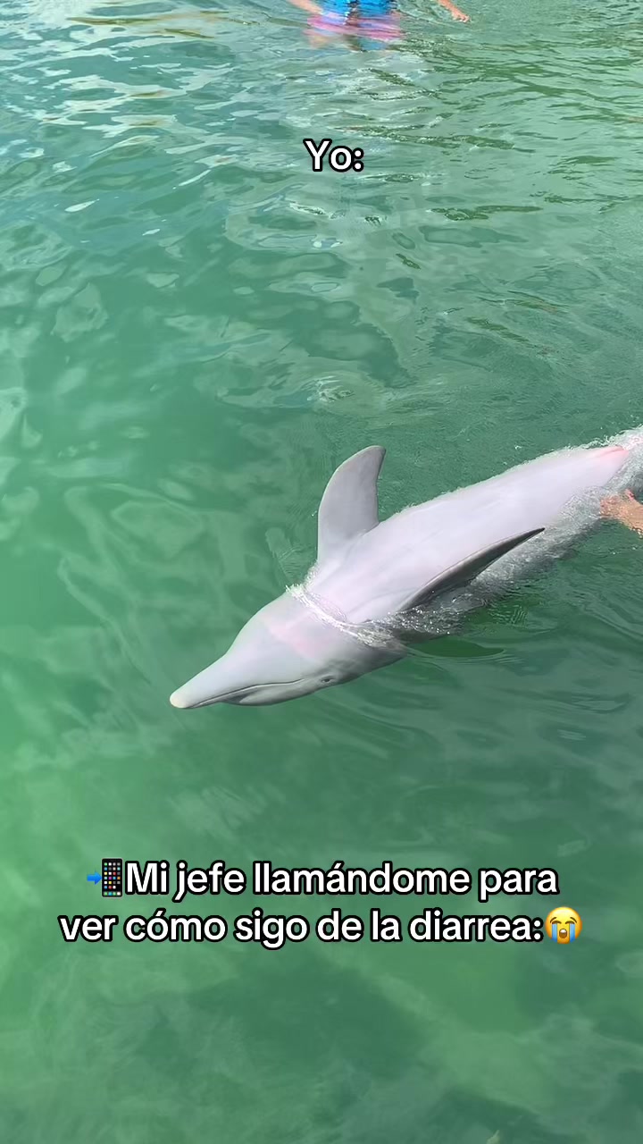 @Oscar Cano