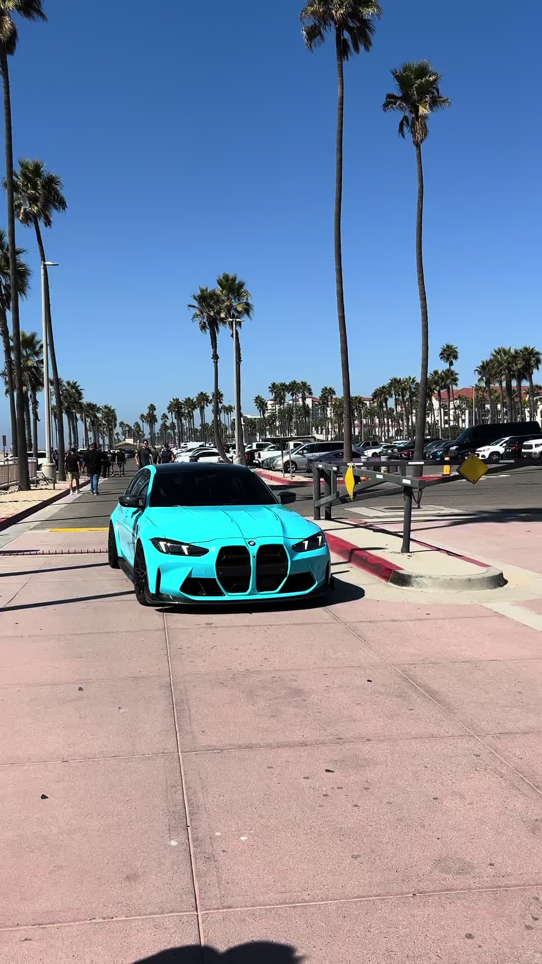 @Pineal.E85