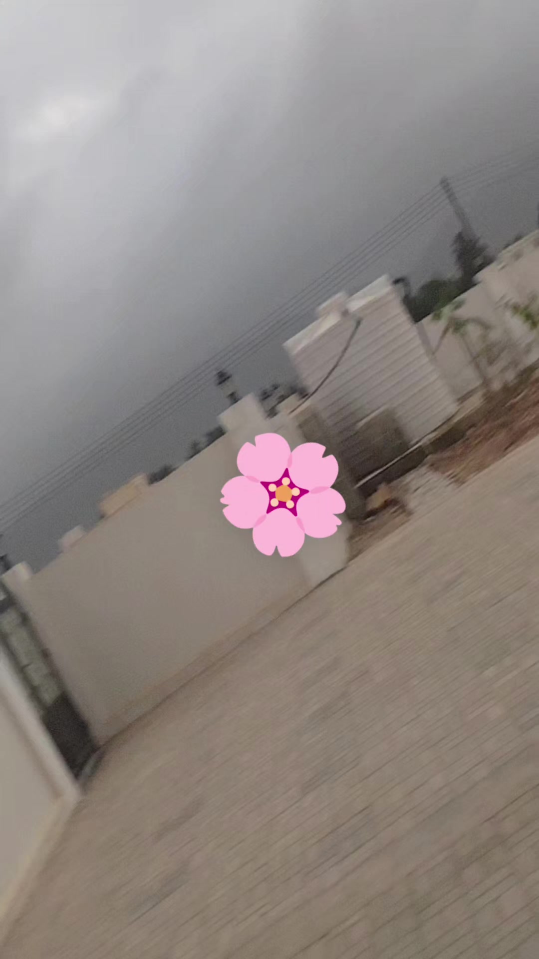 @✴✩ 🎀 মেঘলা আকাশ 🎀 ✩✴