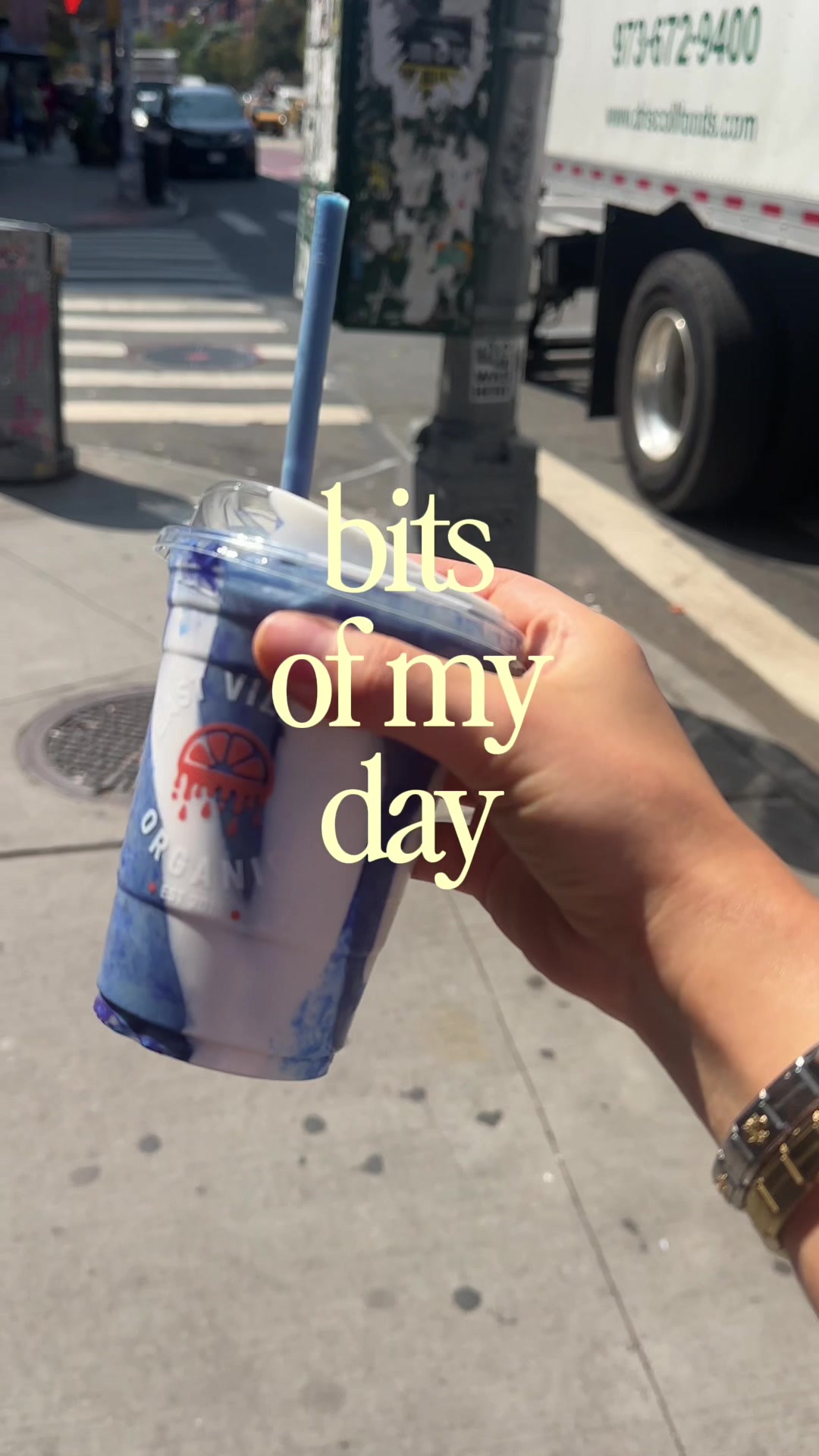 @bitsy🤸