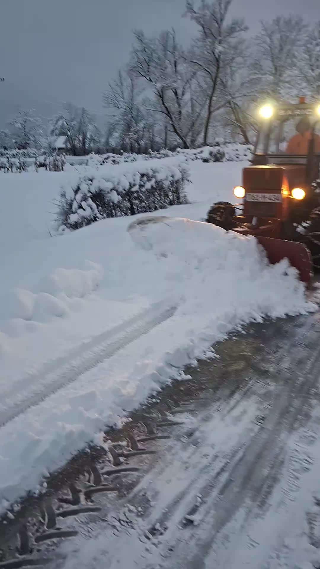@ŠARIC96