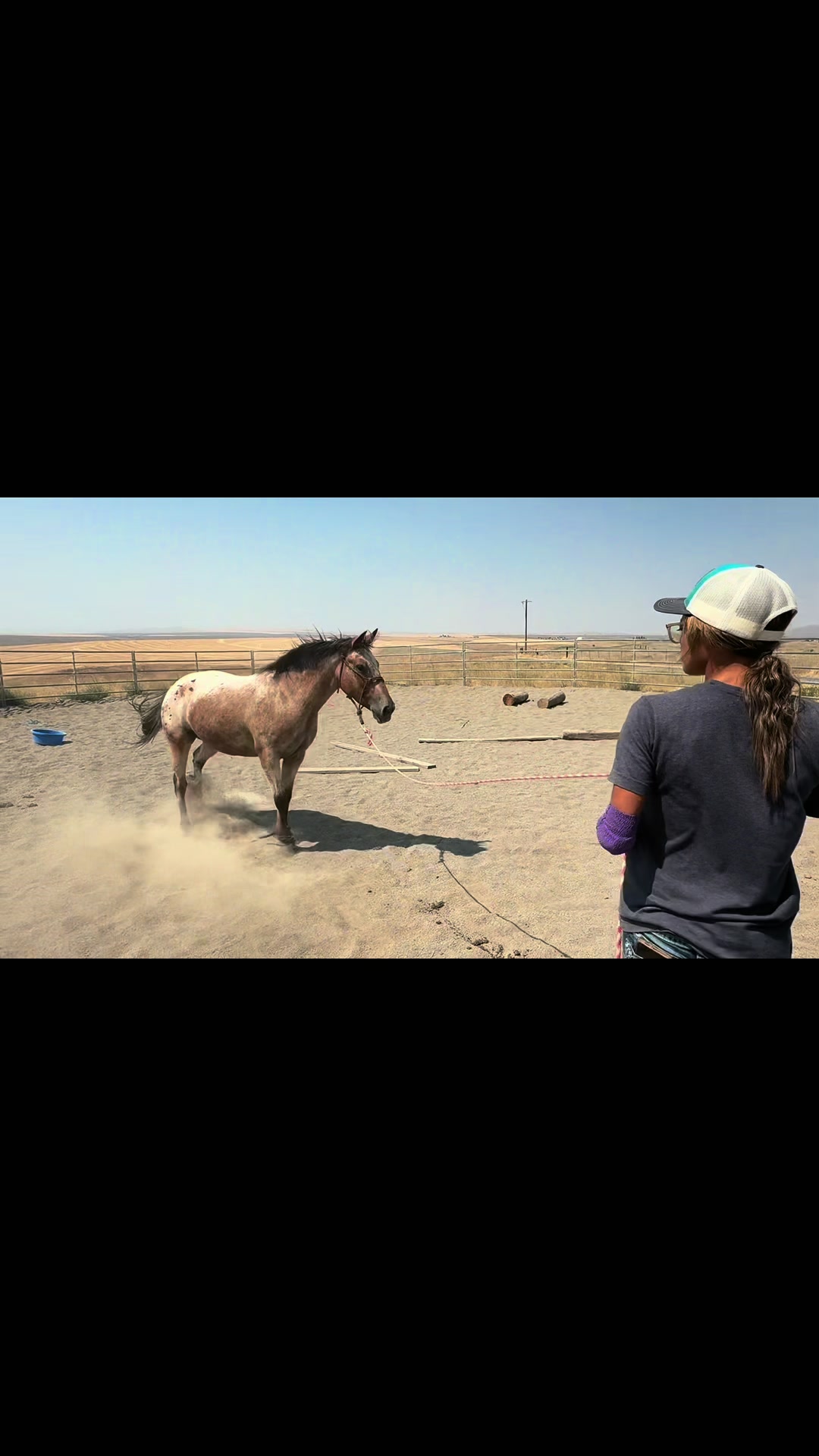@Cowgirl Tuff Colt Training ❤️