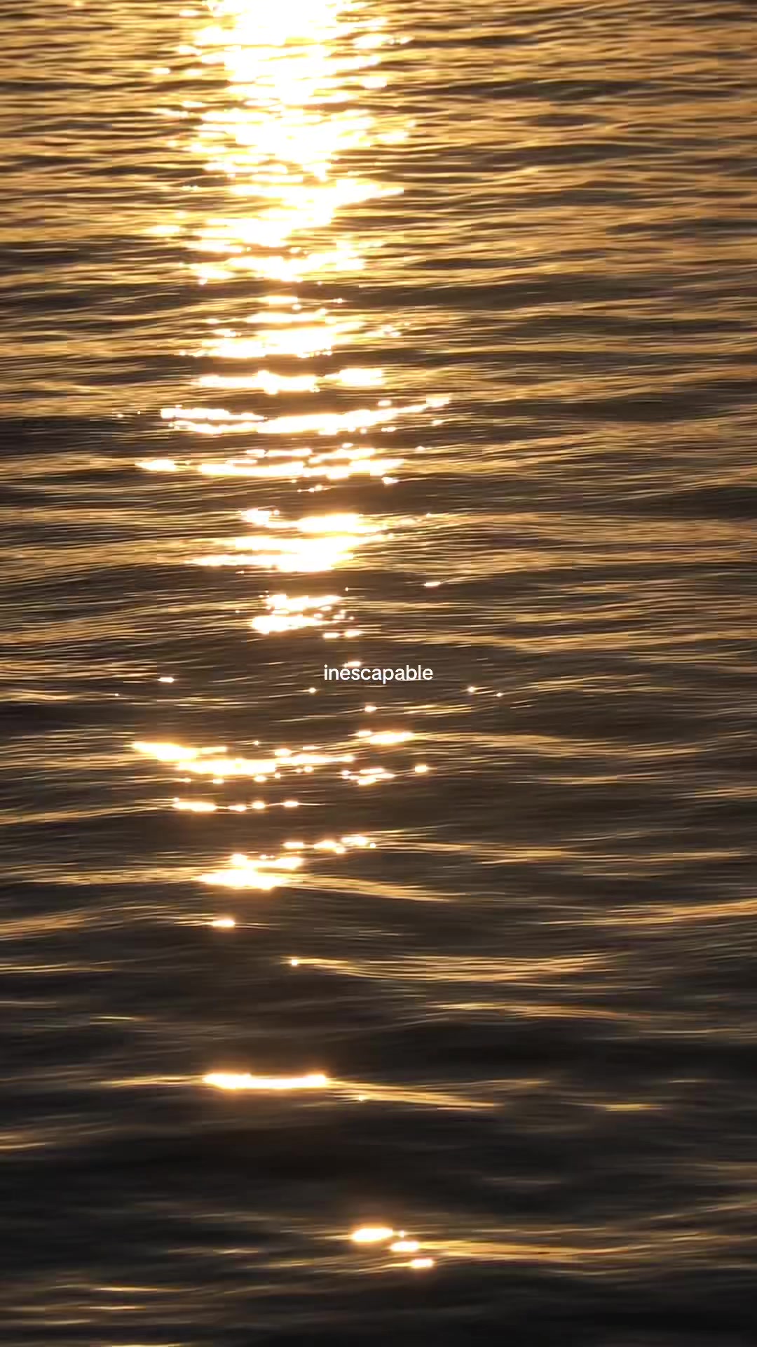 @𓆝 𓆟 𓆞