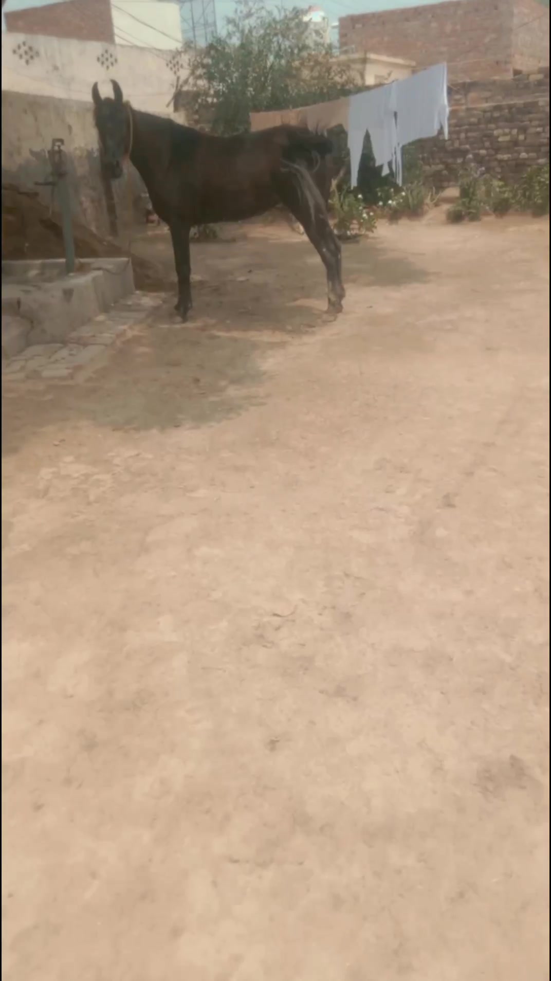 @Ali akbar Dogar