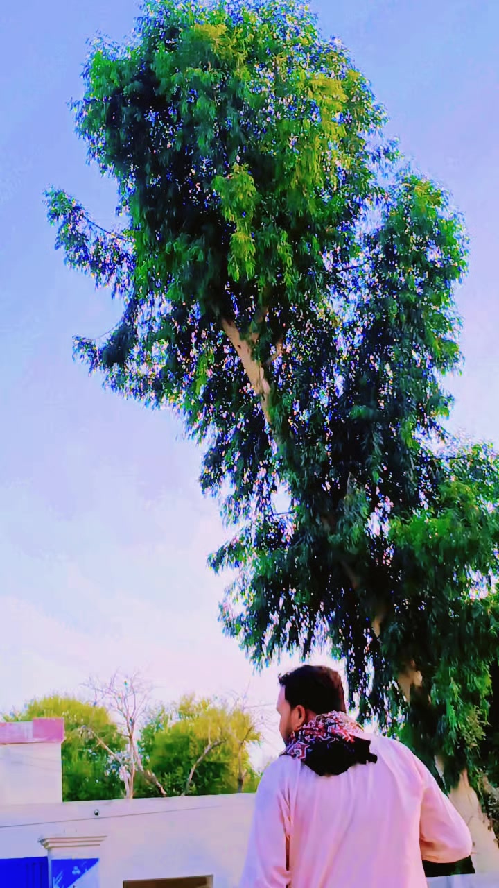 @Lala Tahir jalalpuri