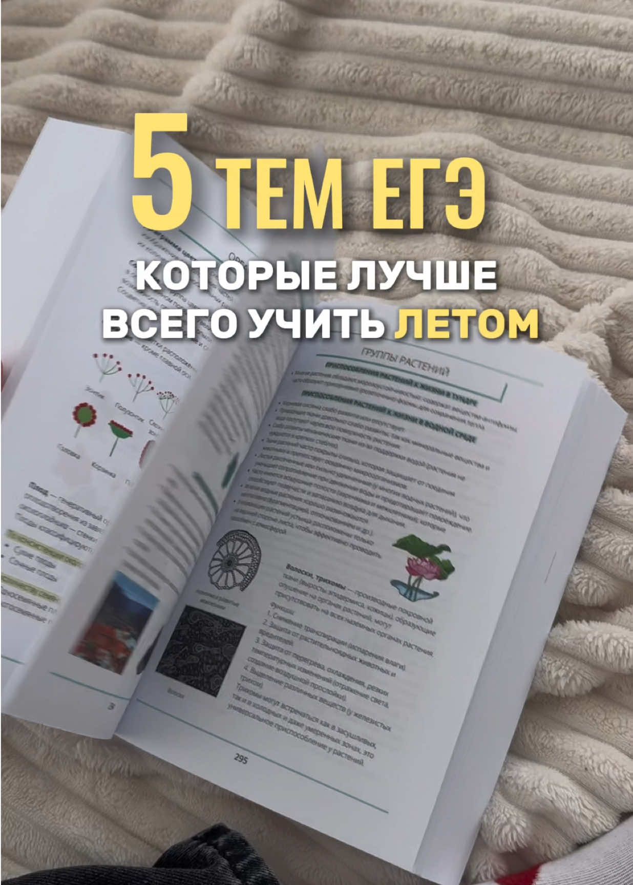 @Алёна Бриз