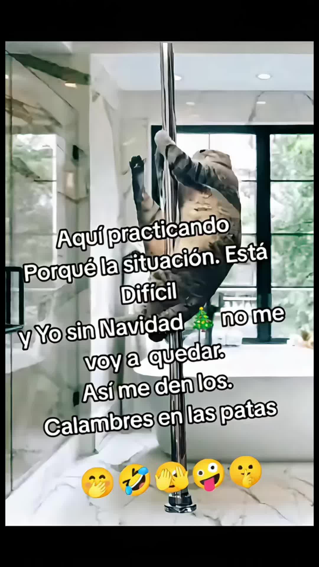 @Pedro Cruz