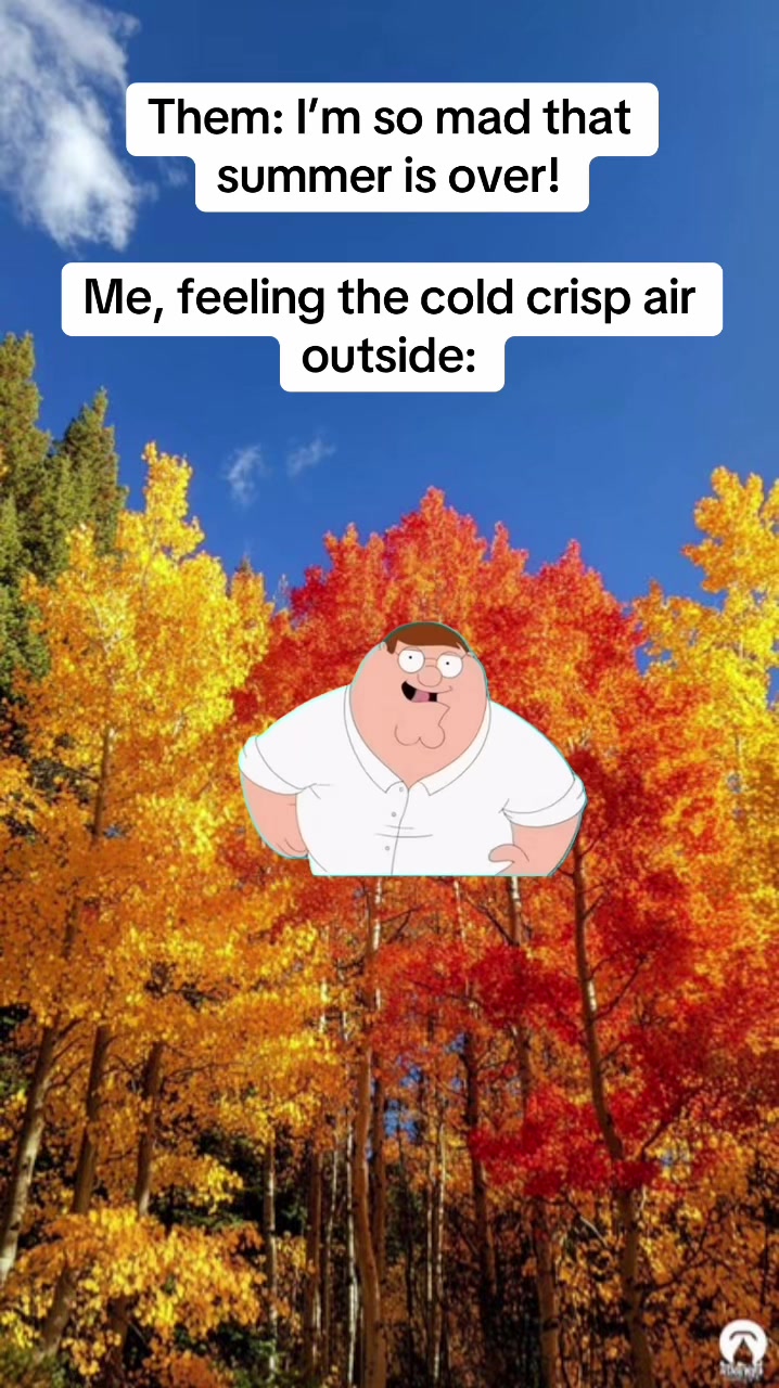 @90s Kid