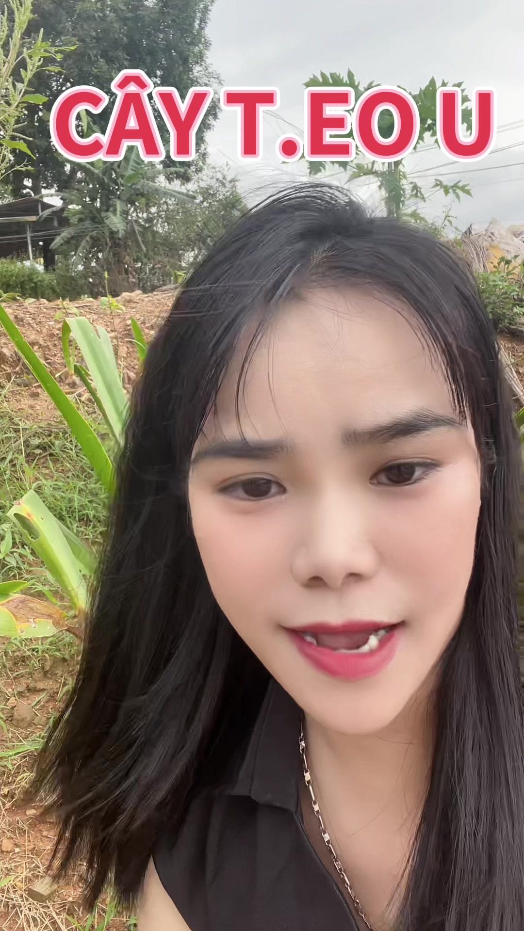 @HTX NGỌC CHINH YB